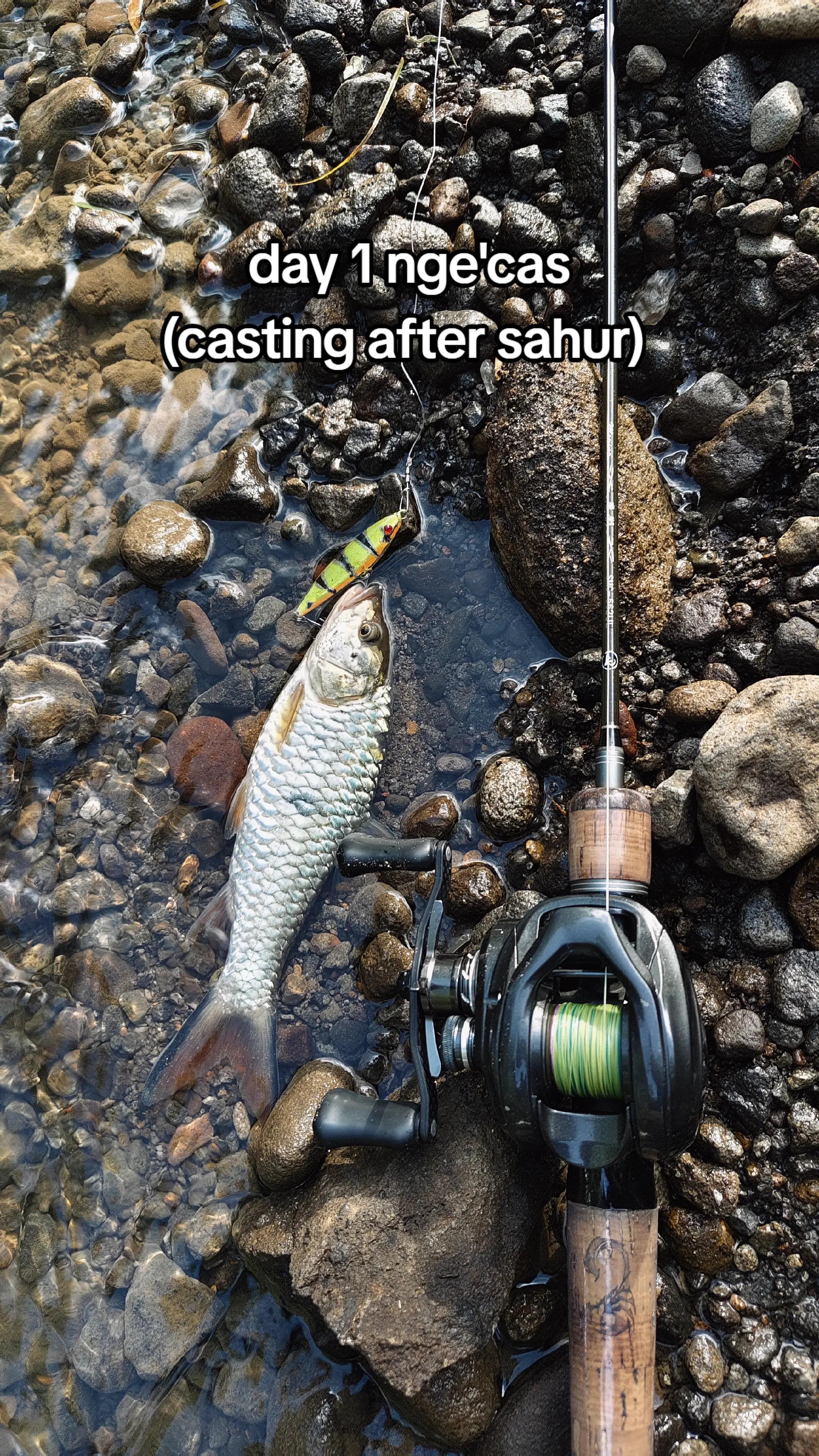 @gustavxfishing