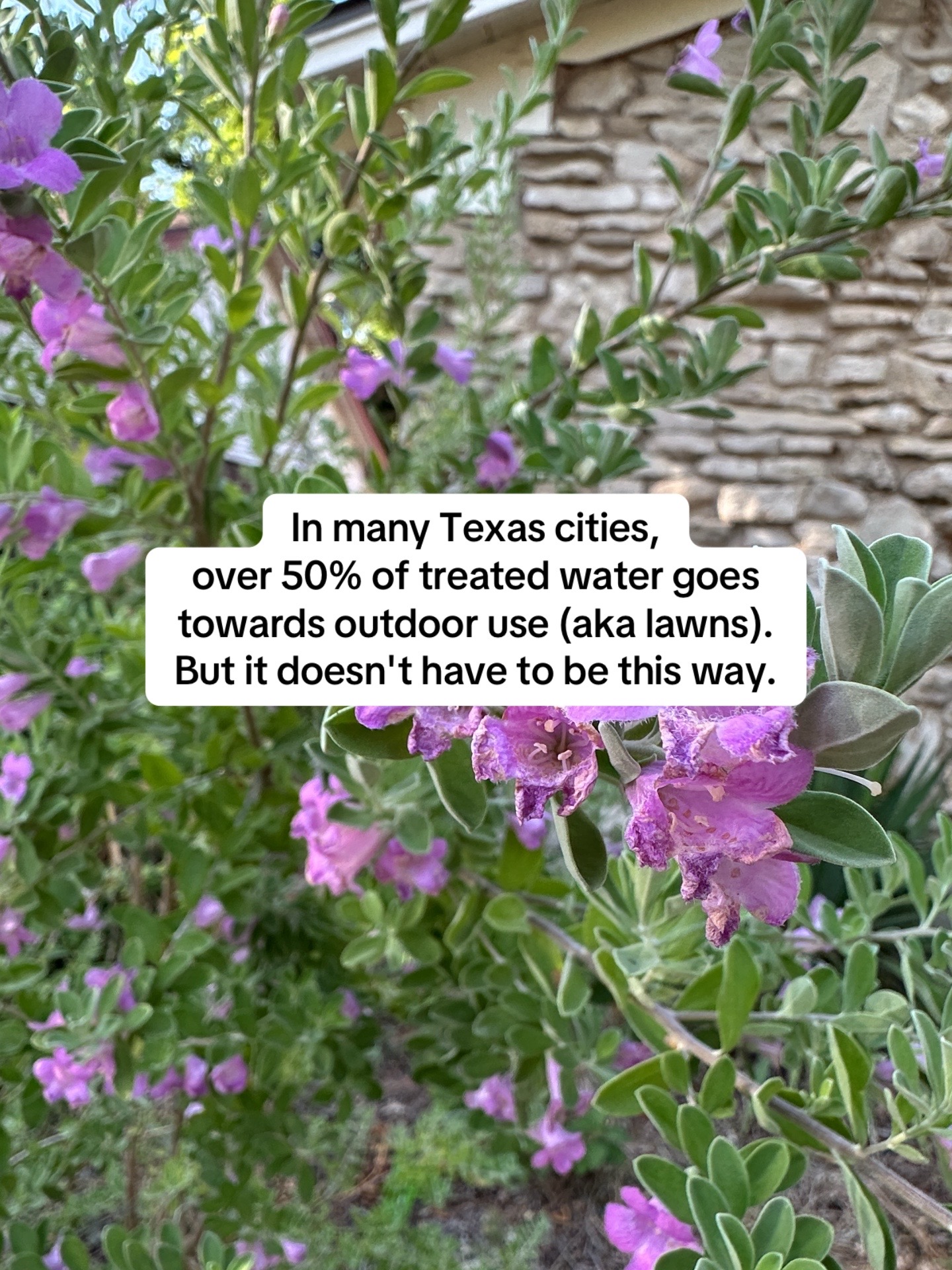 @Jessica | Xenia Backyards