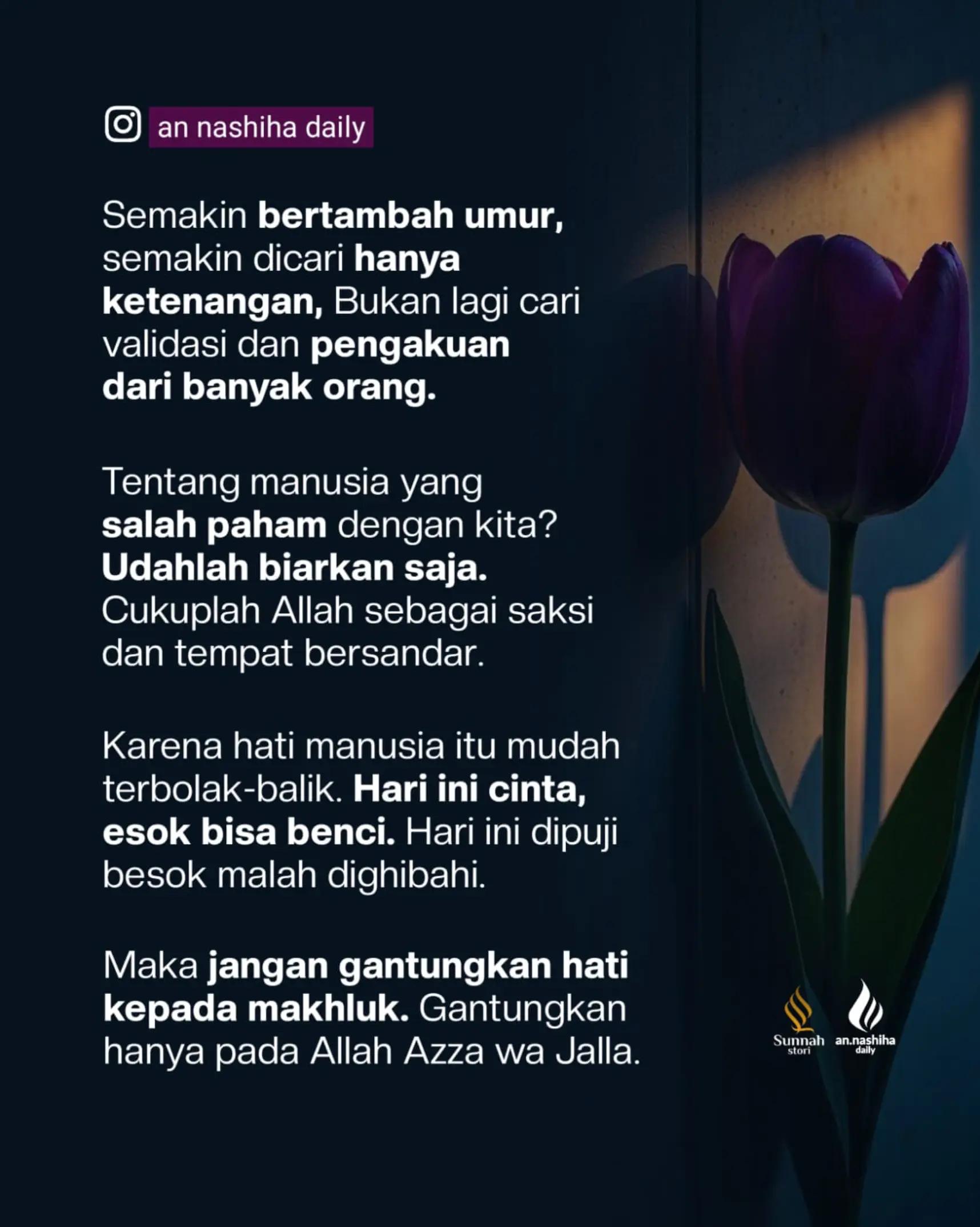 @iffahhanif14