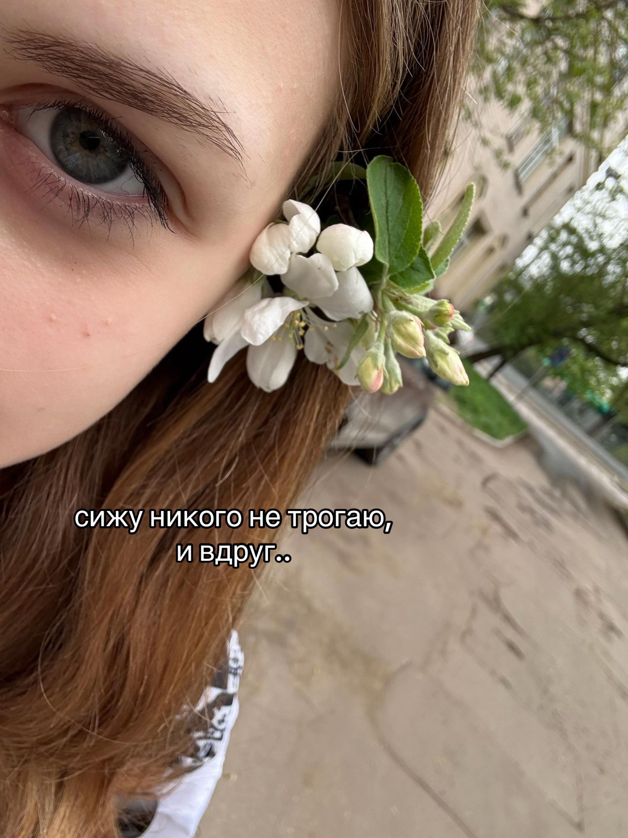 @атака миньонов, пау
