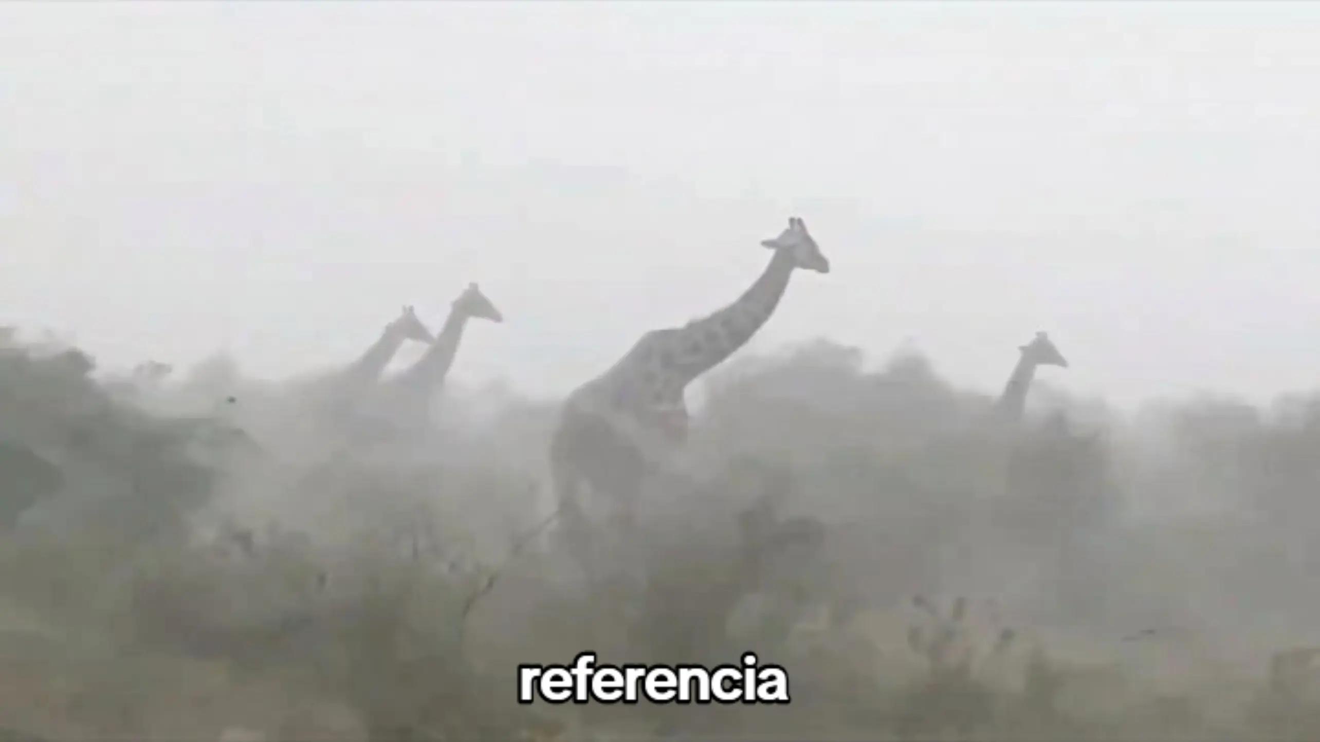 @AXTL_270