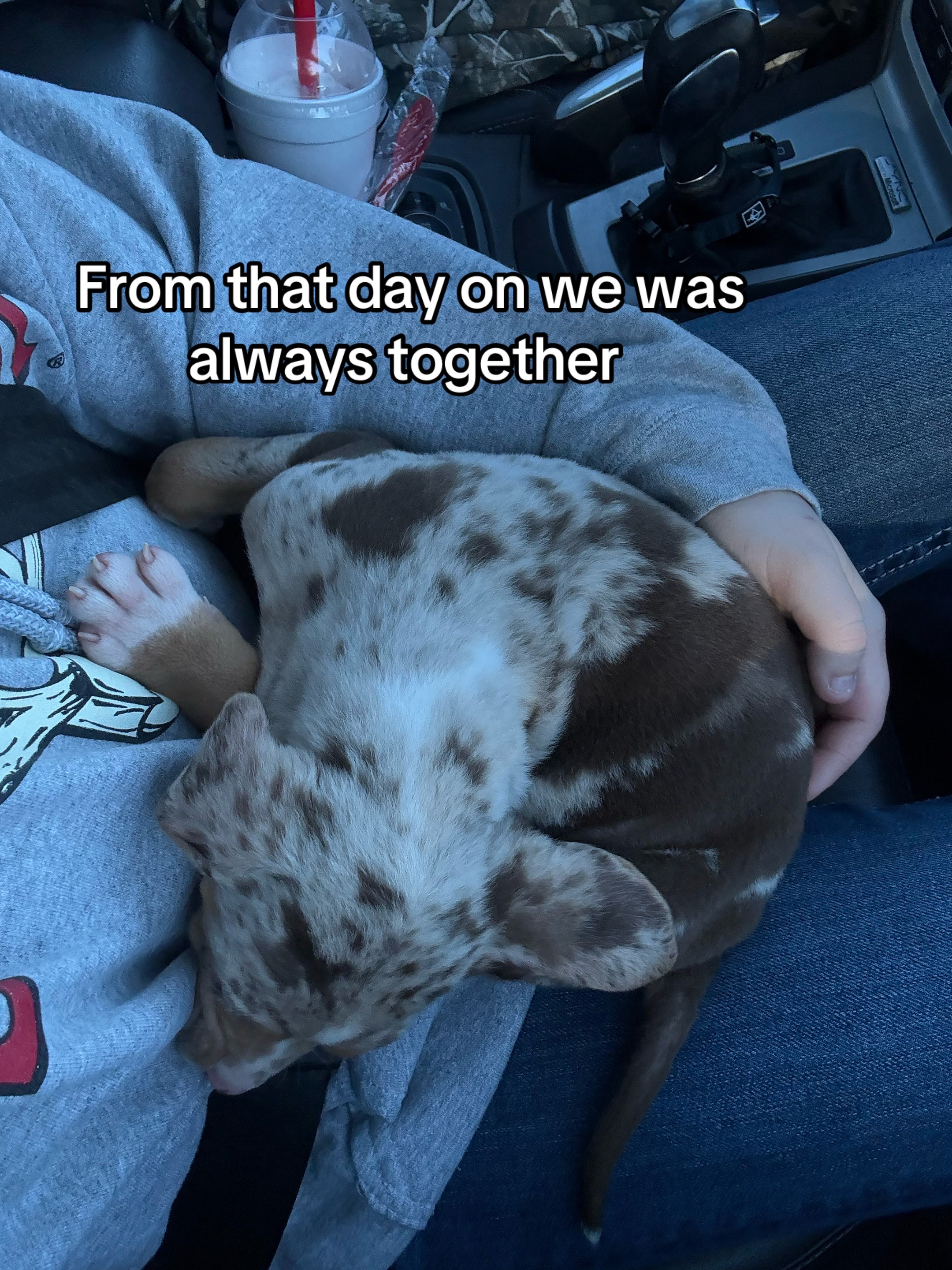 @Waylon