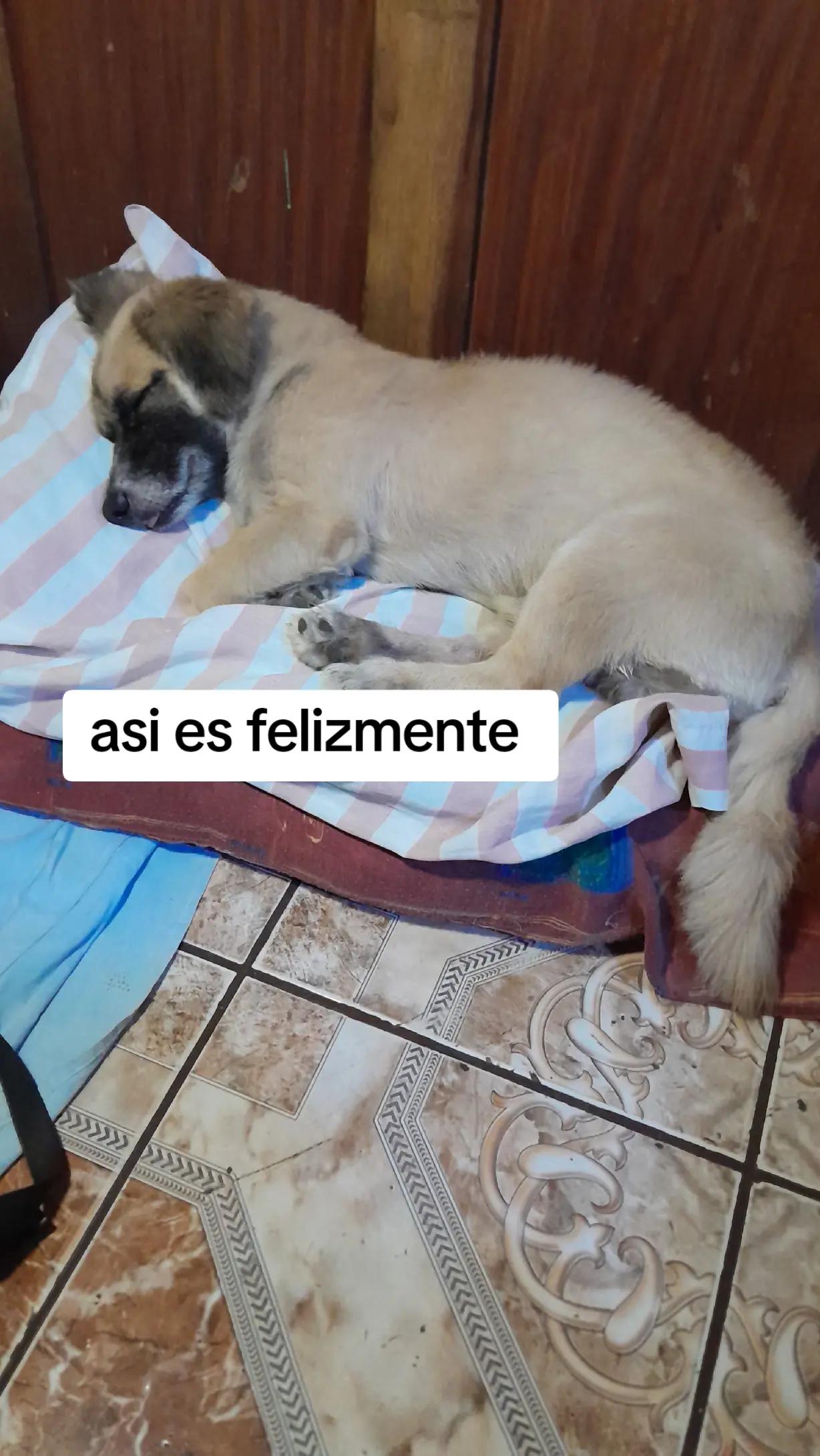@Luisa albertina