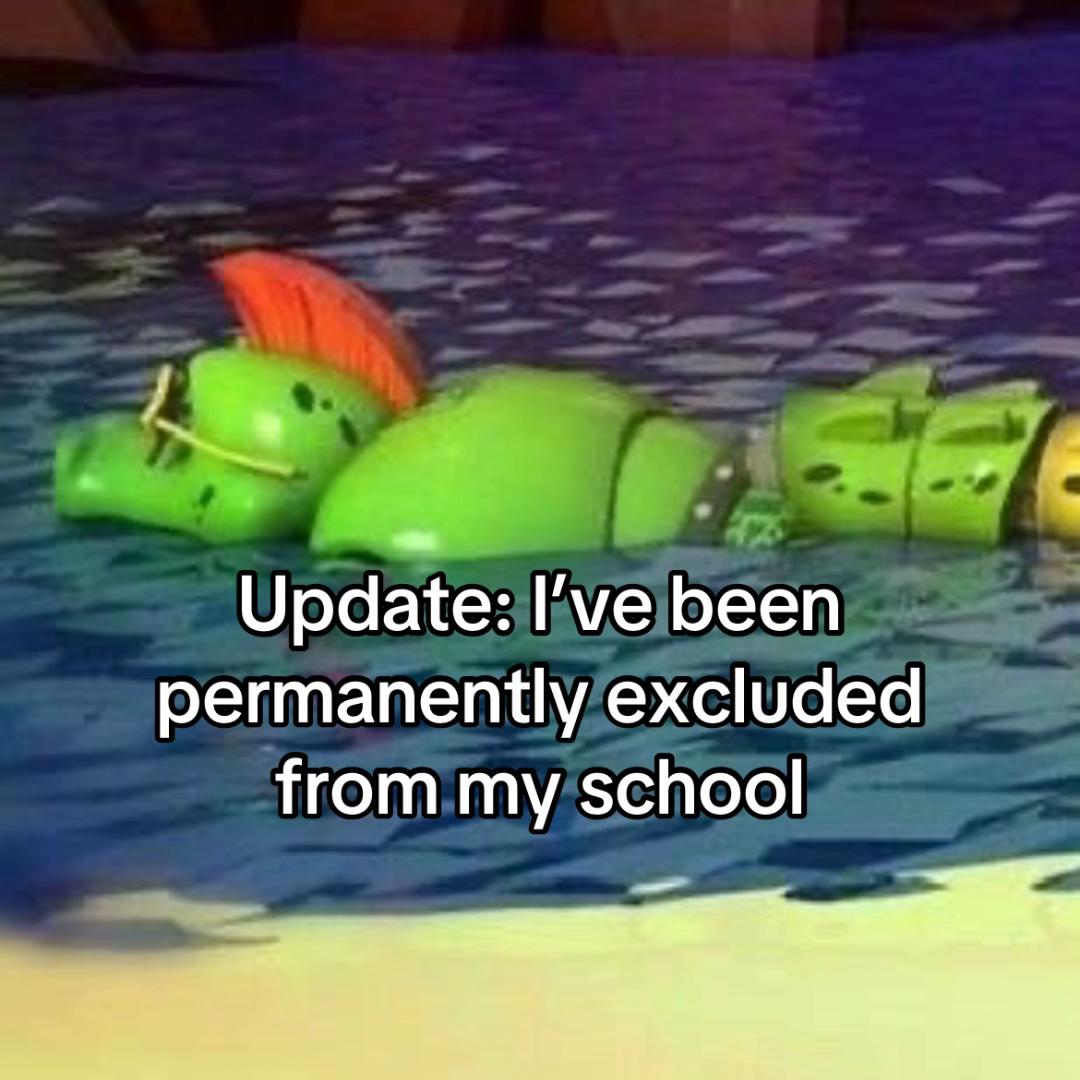 @Monty Gator