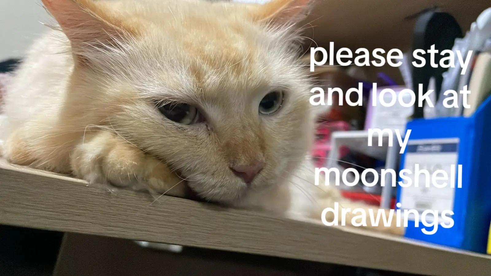 @MeWanMorFood