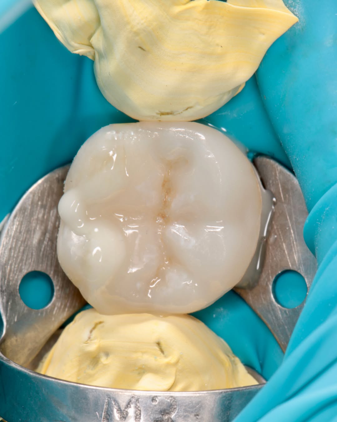 @Dentist 🦷