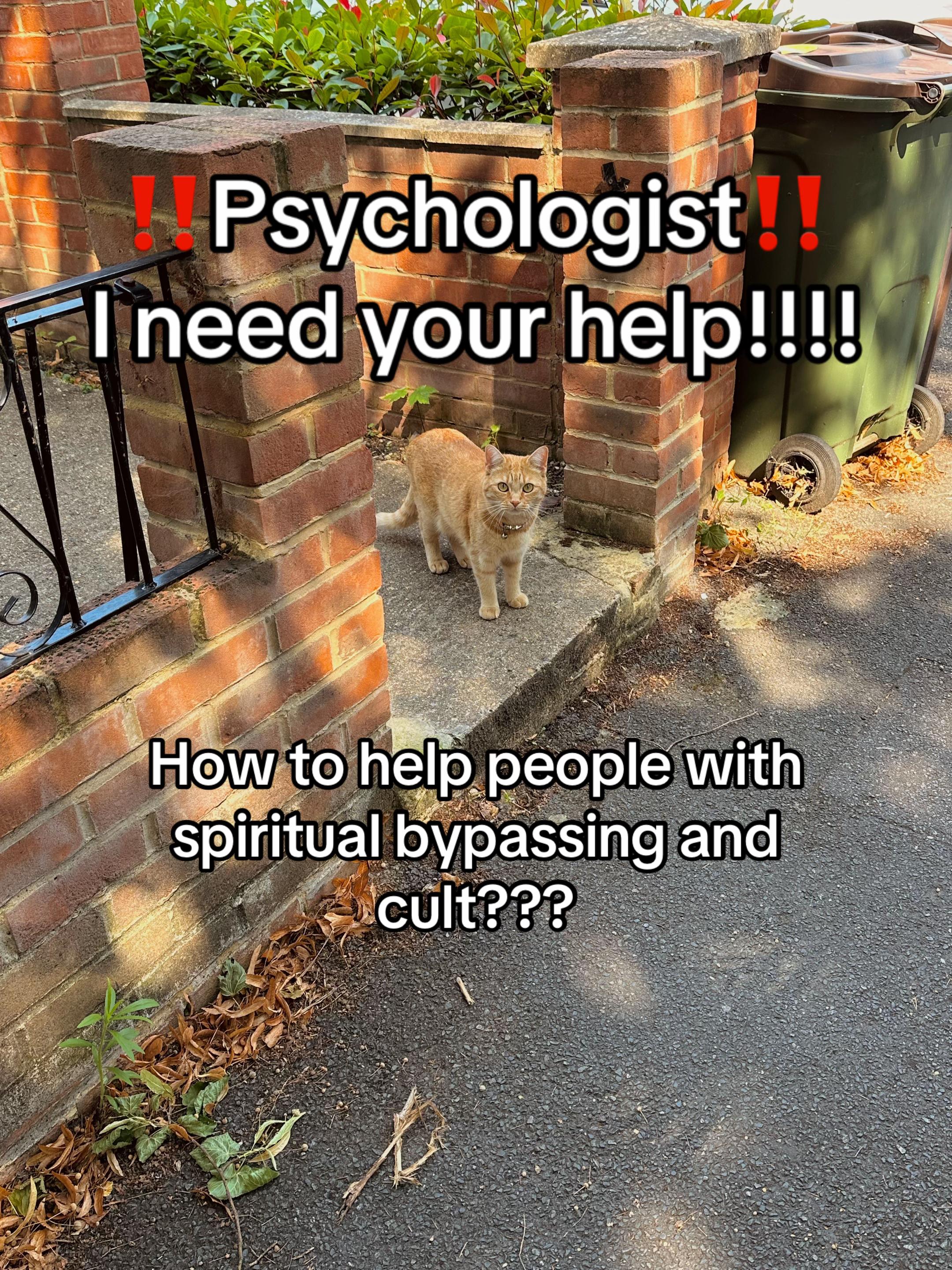 @Jocelyn L.