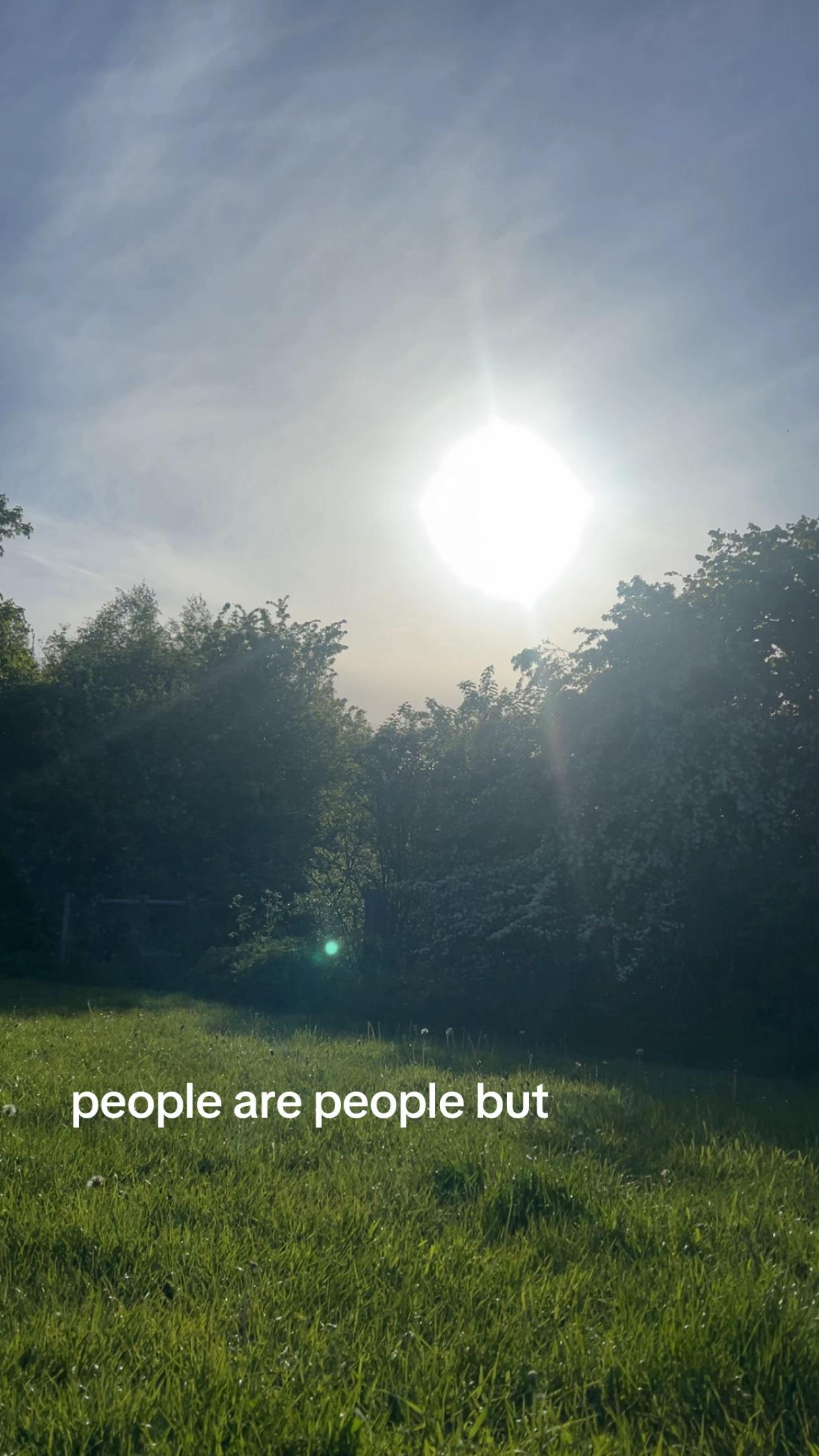 @🪽