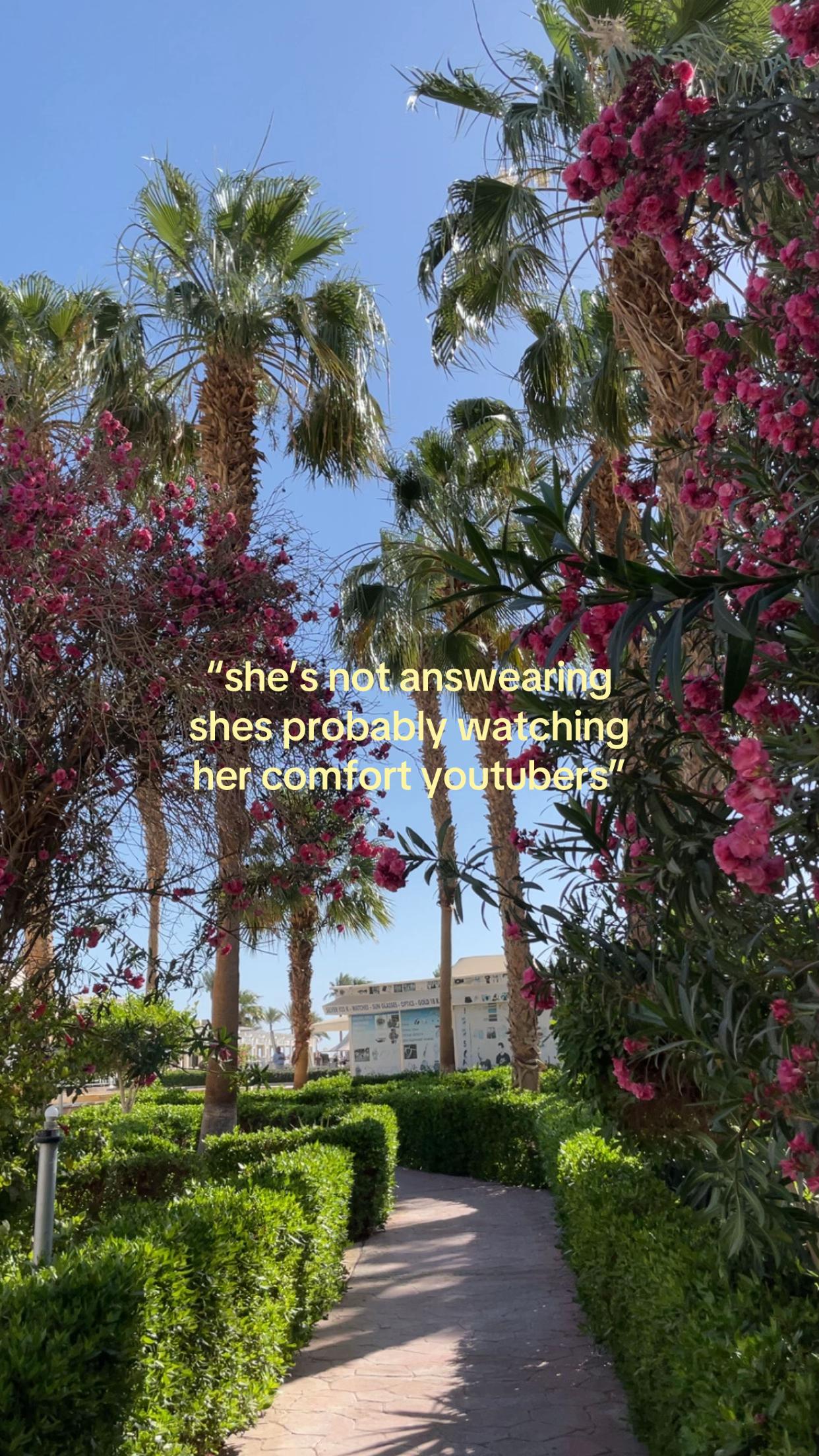 @secretxbx