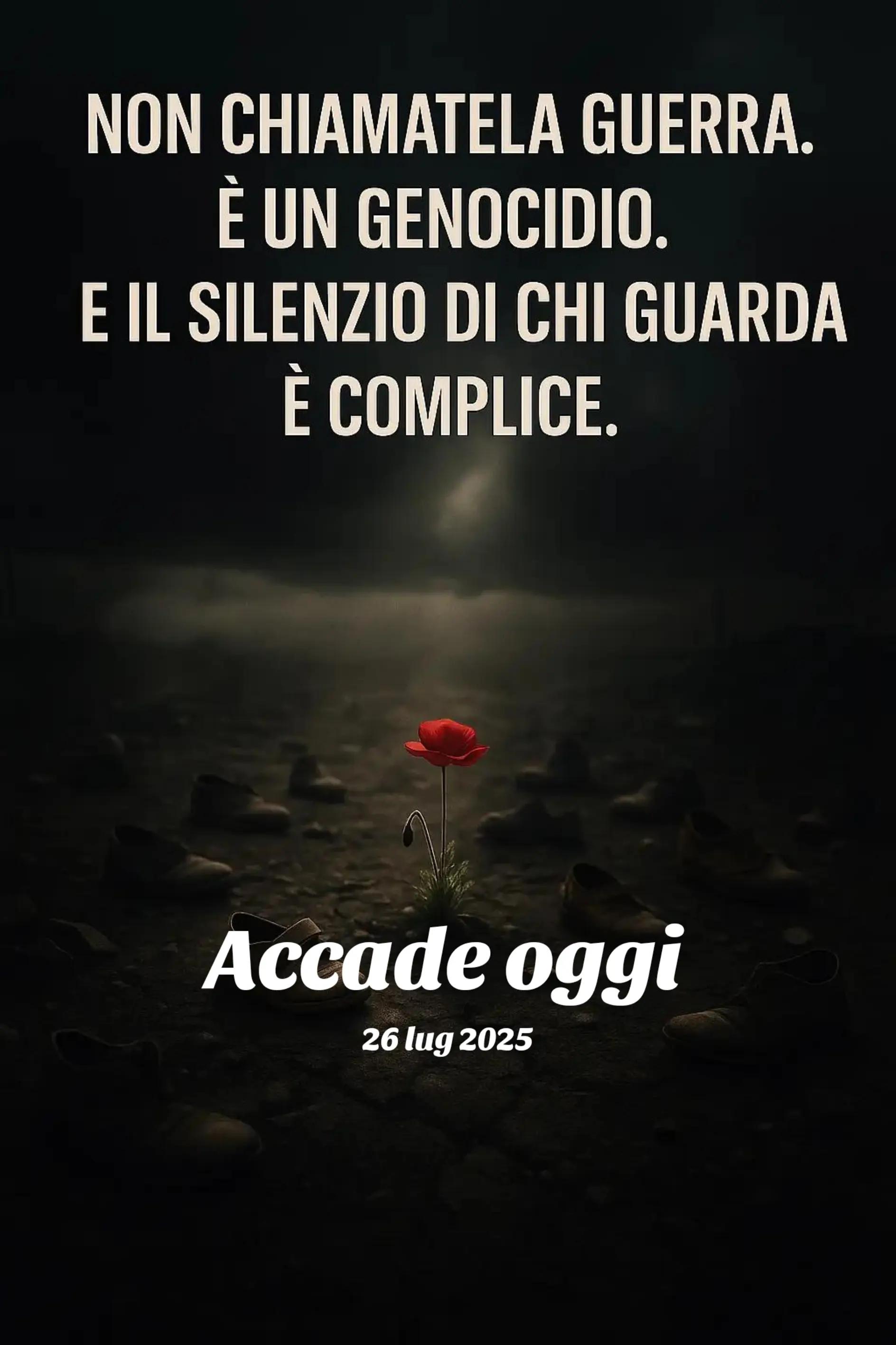 @Domenico Vibes