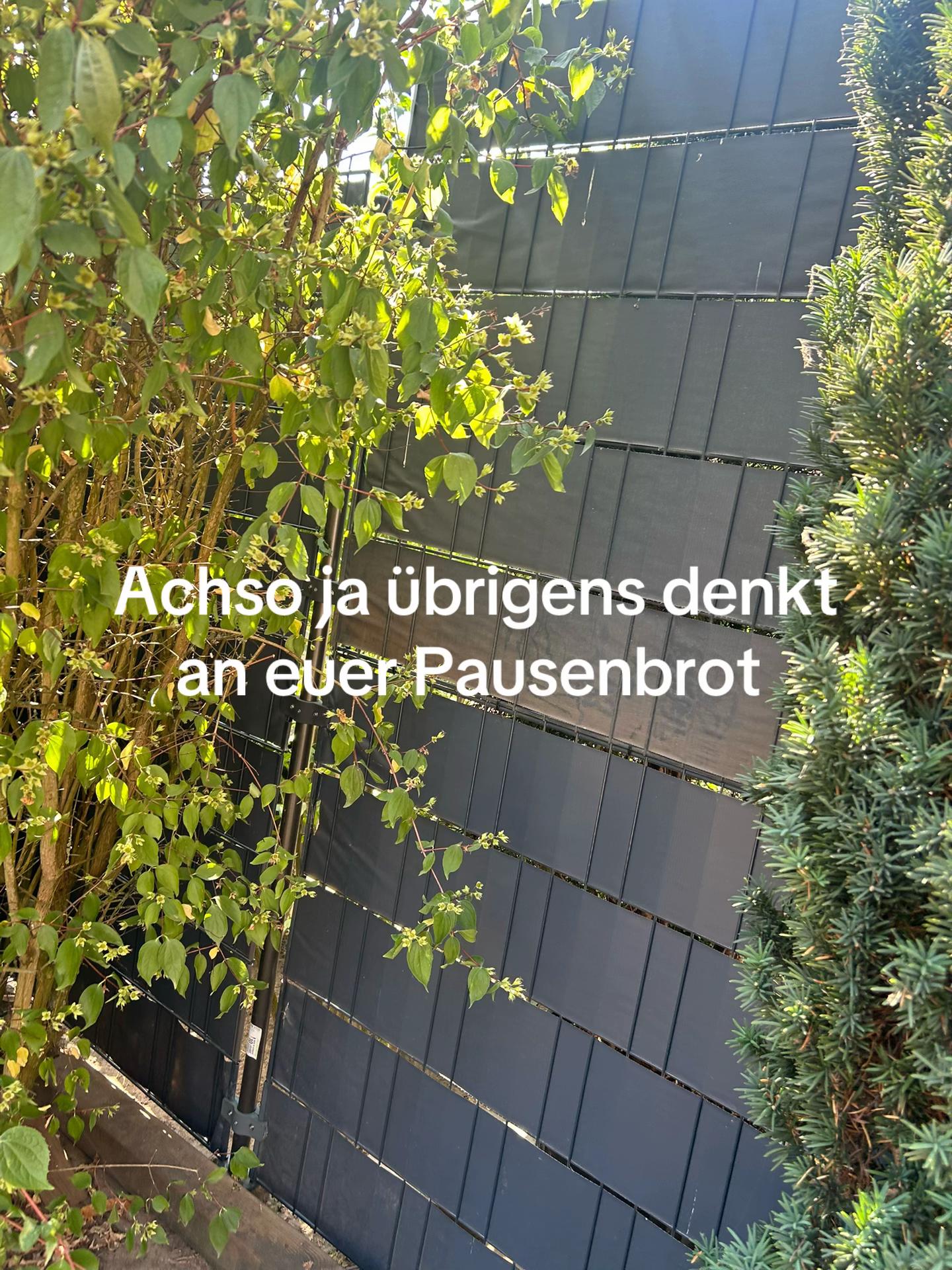 @Brotscheibe01