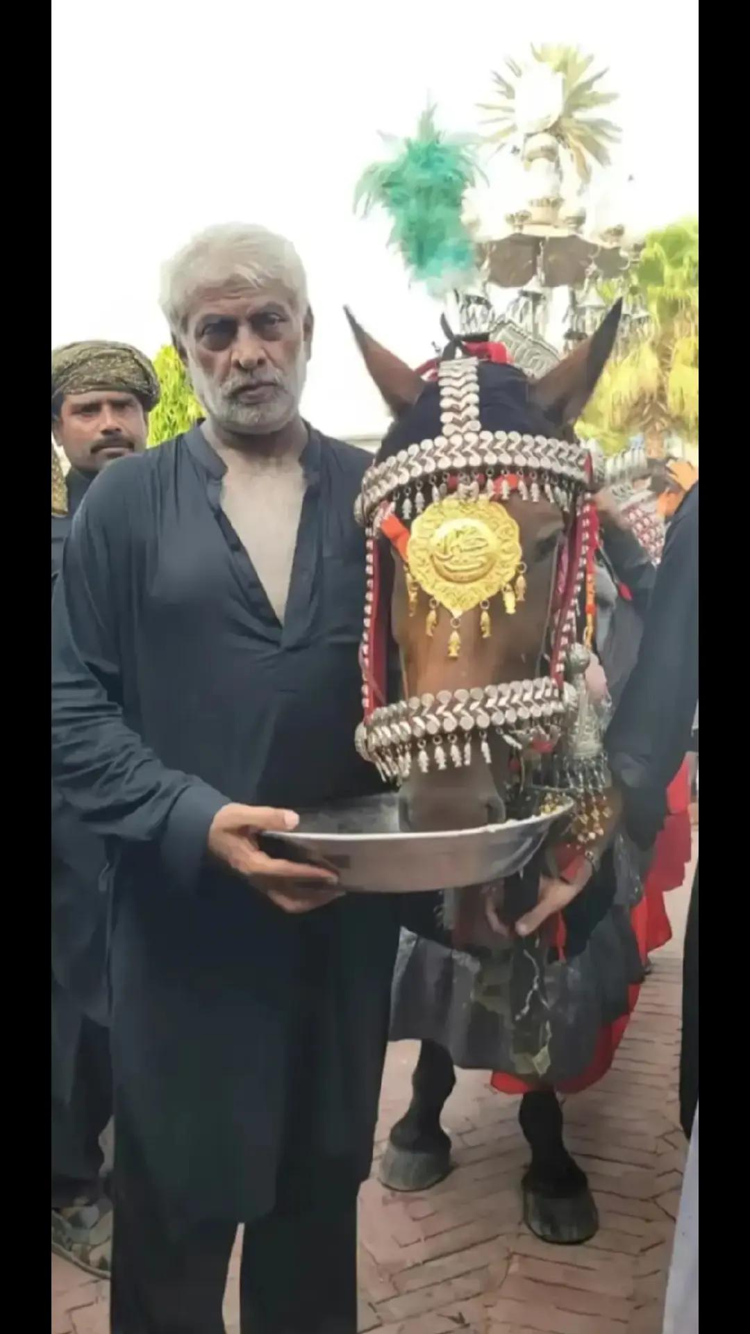 @Shahzad Shah