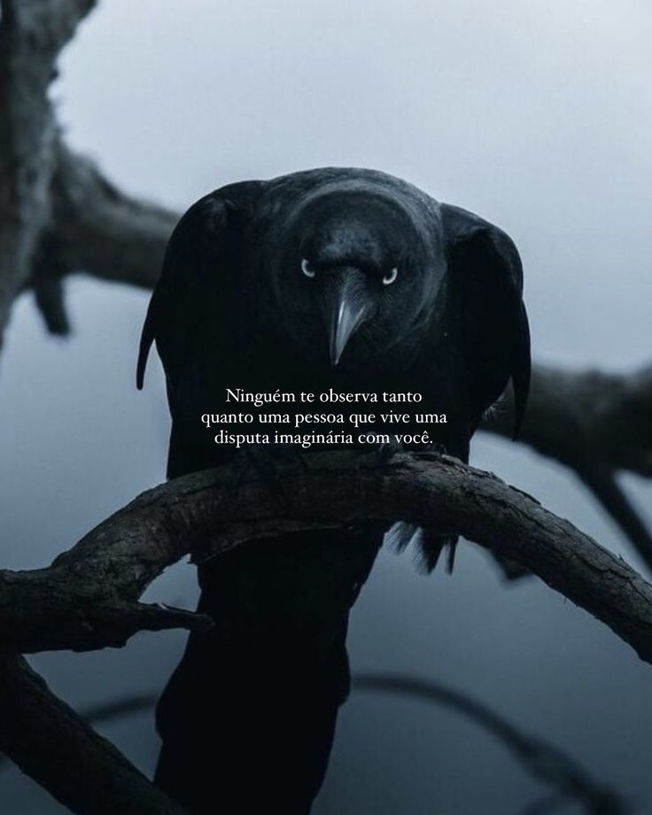 @Niki