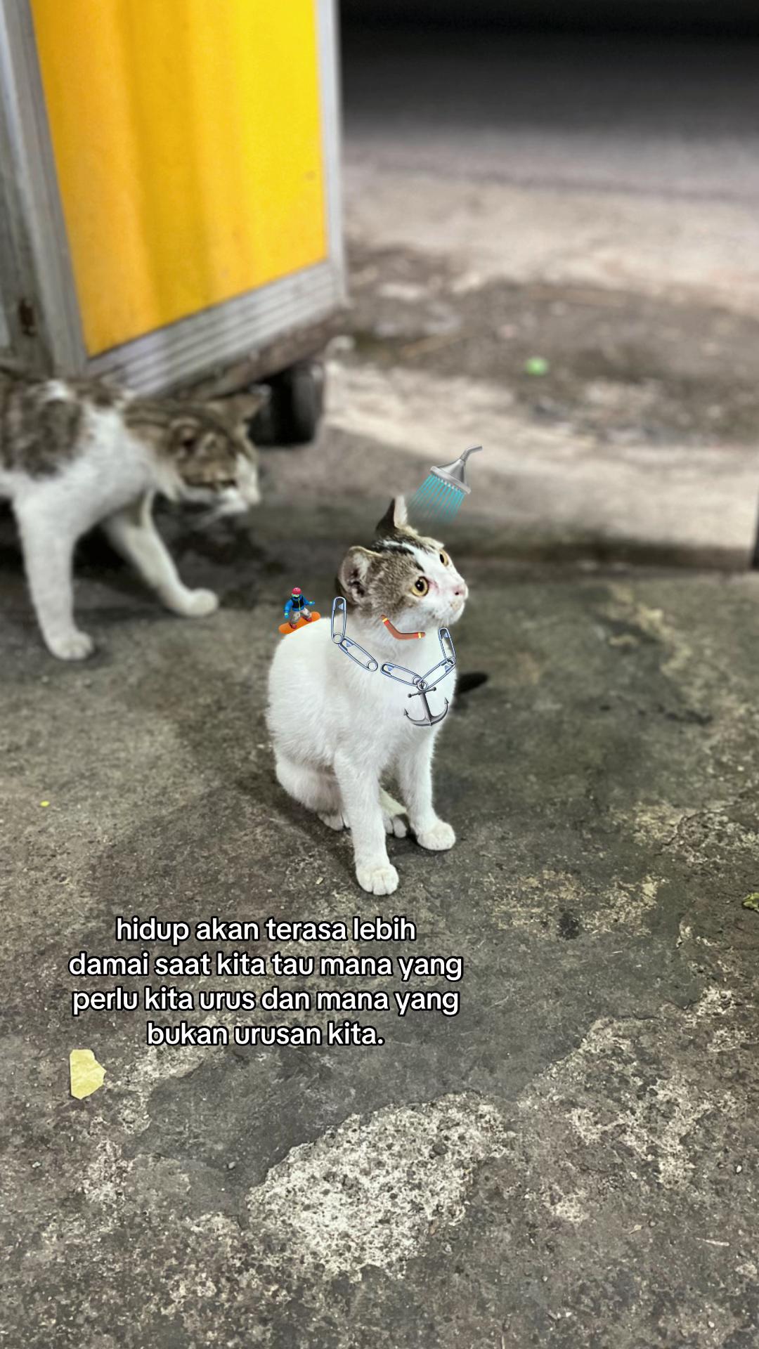 @๐๐๐๐ข๐๐ฃ๐ข