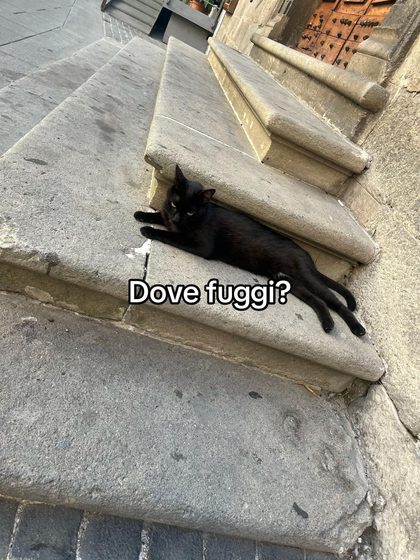 @⚡️