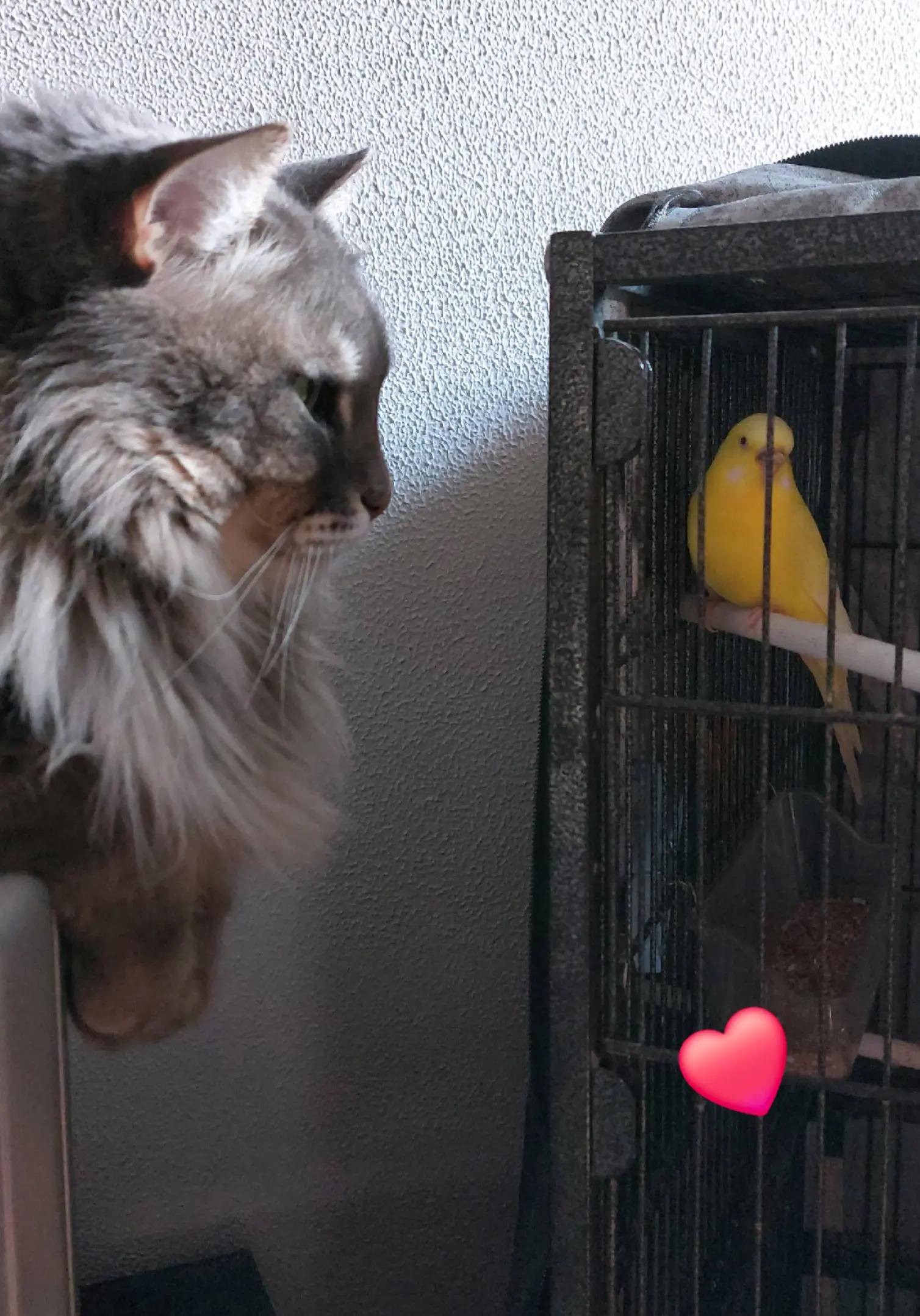 @♡_Kiko e Cicciotto_♡