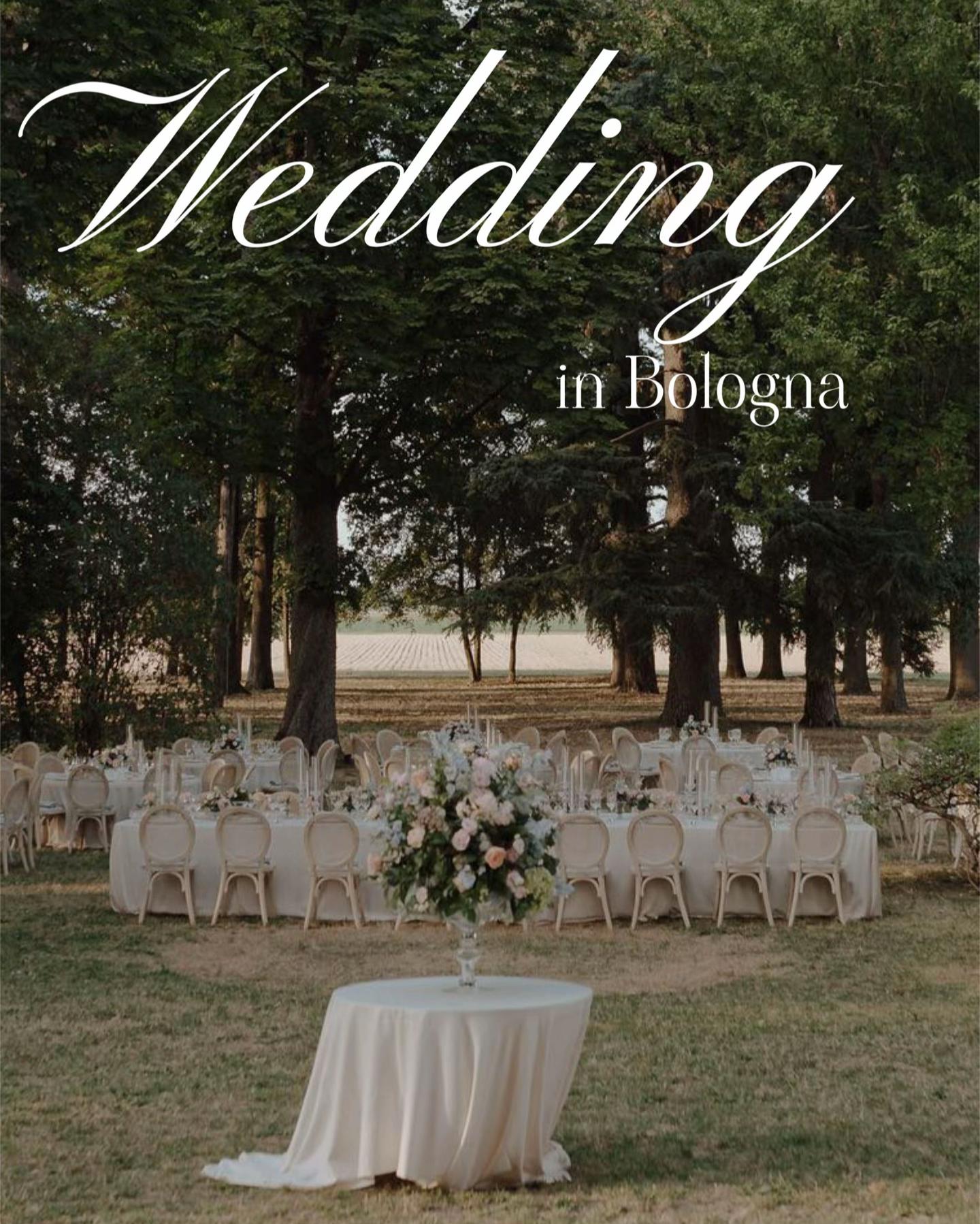 @Maurizio Lo Greco WP 💍