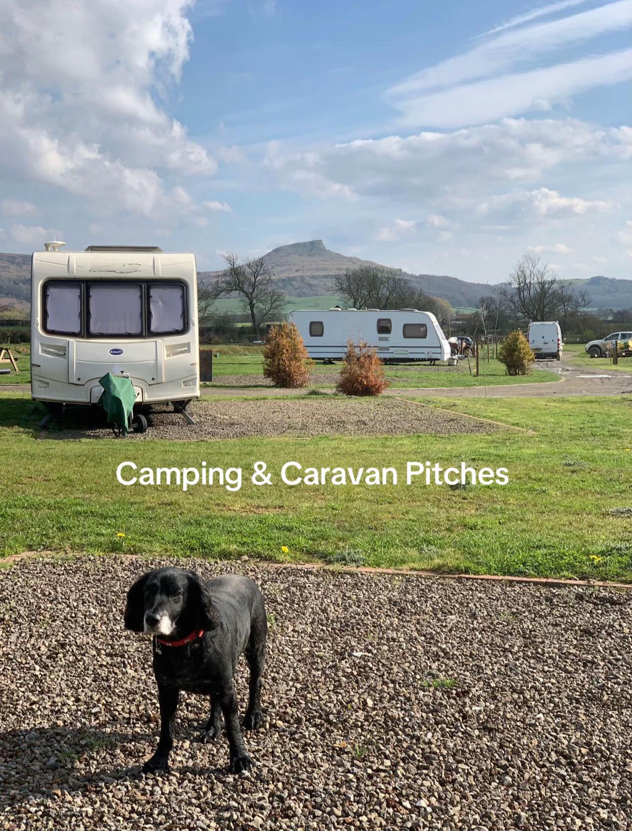 @WykeLodges