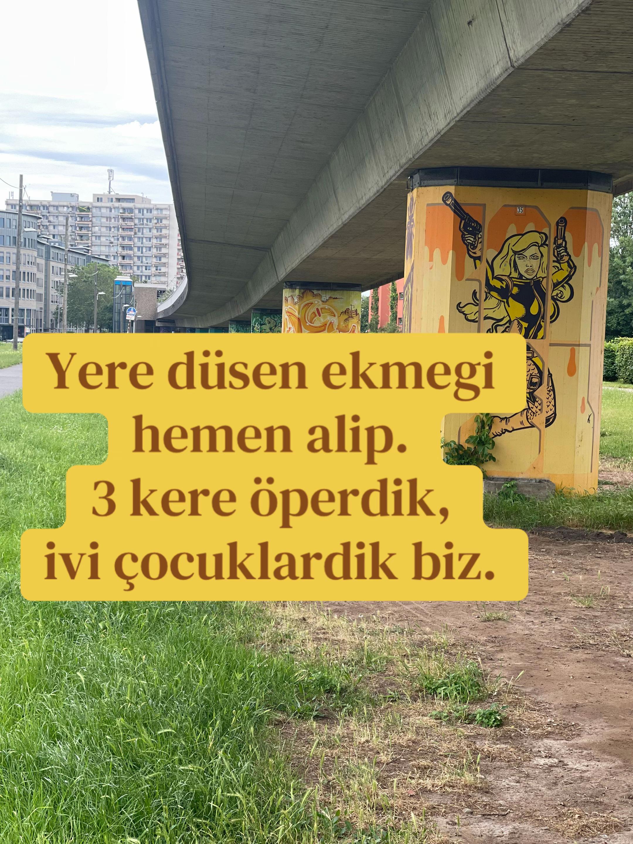 @dilavereryilmaz