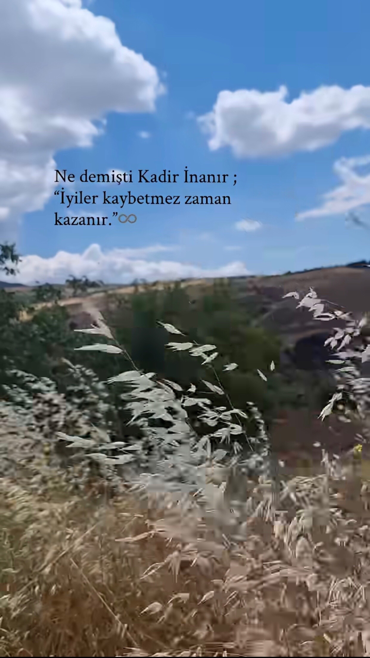 @MELEK 🎀