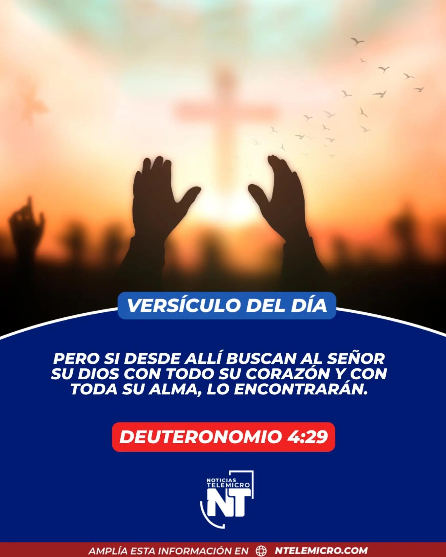 @Miguel Medina oficial
