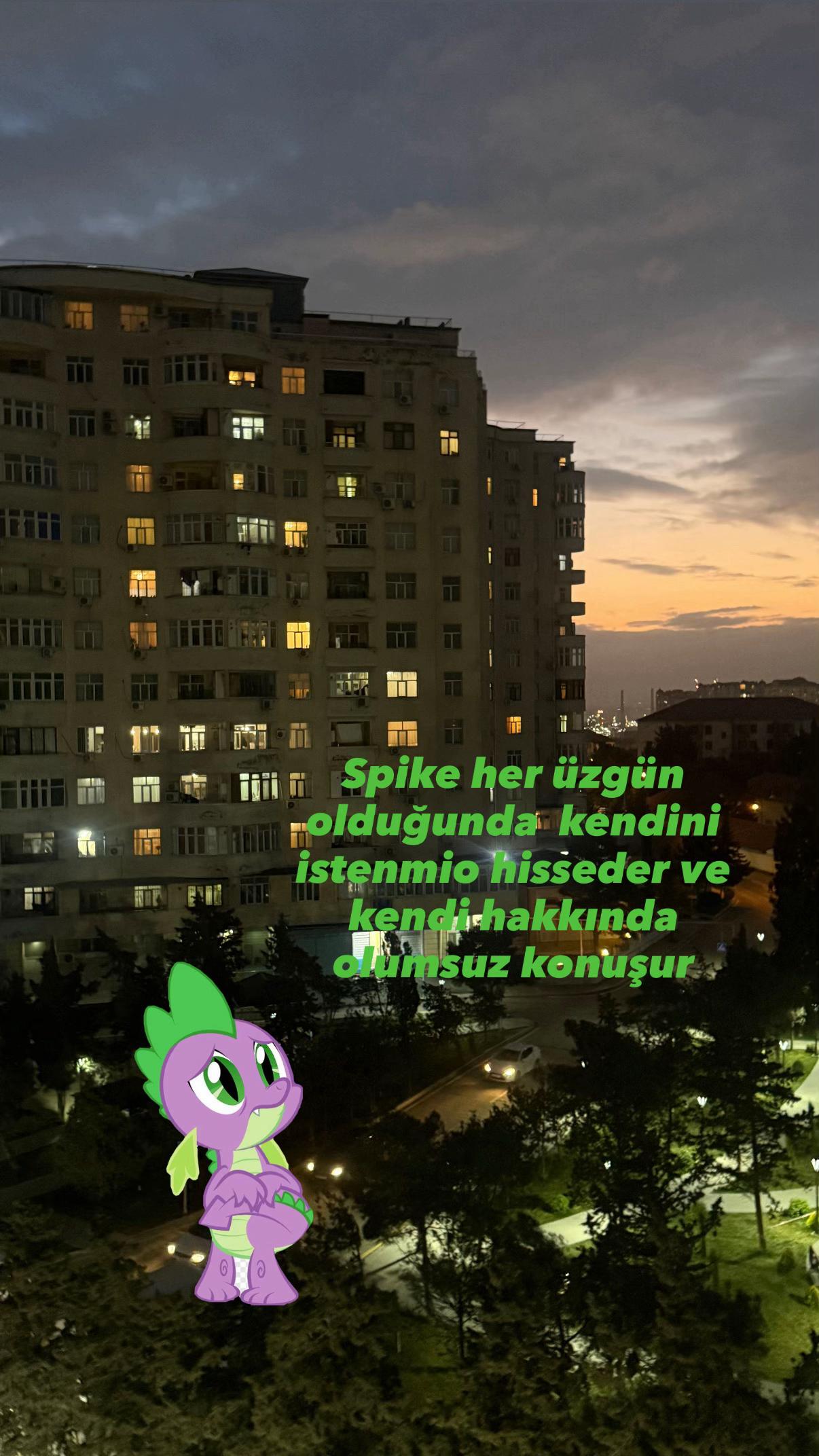 @Aynur Guliyeva🤍