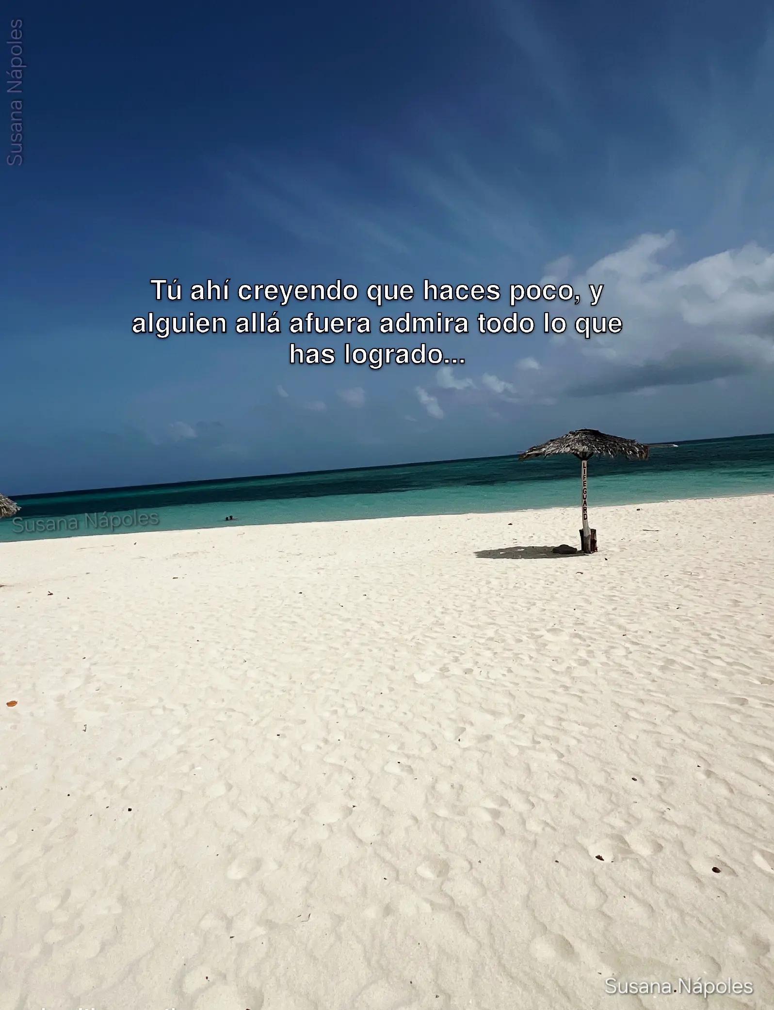 @Susy Napoles