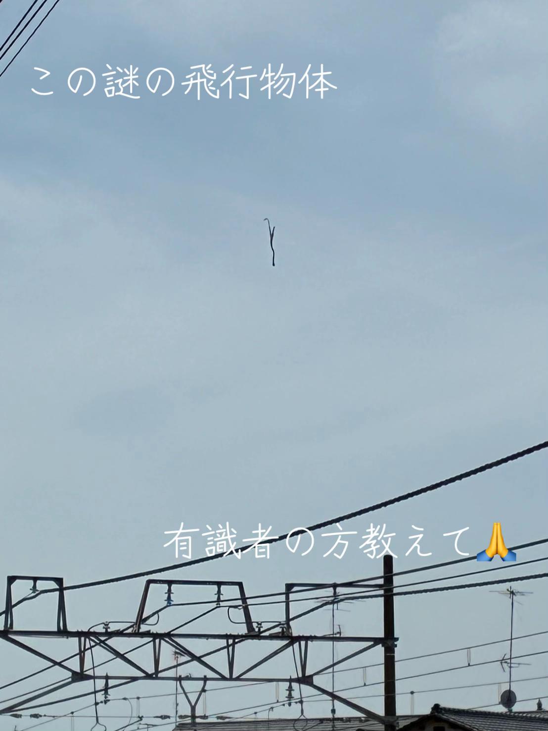 @🐱🍜tantanmen🍜🐱