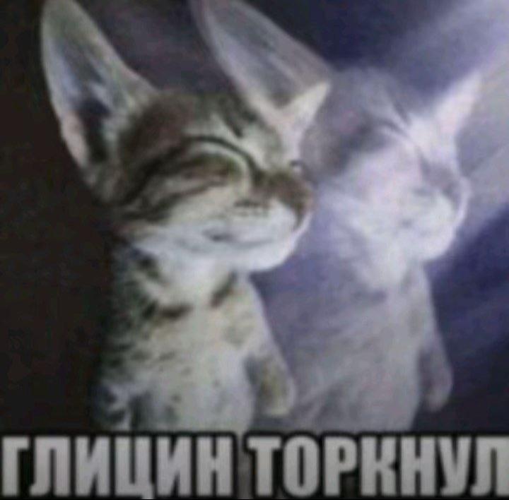@wzxcqerr