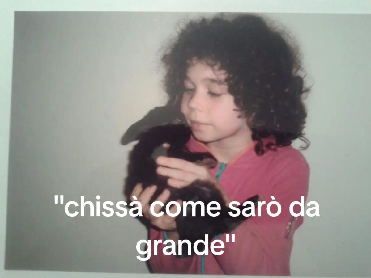 @gatto_