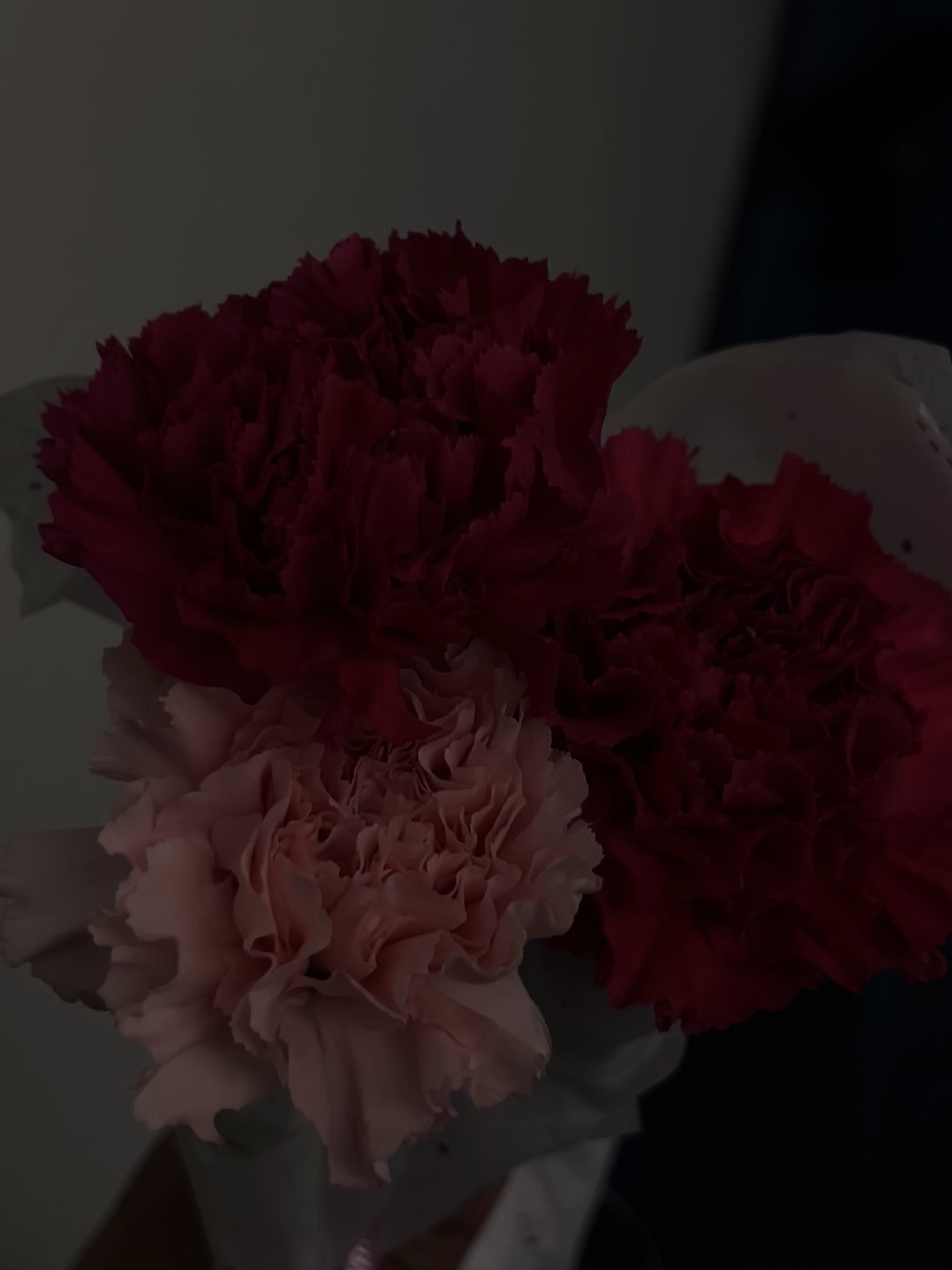 @iiam0nly.k