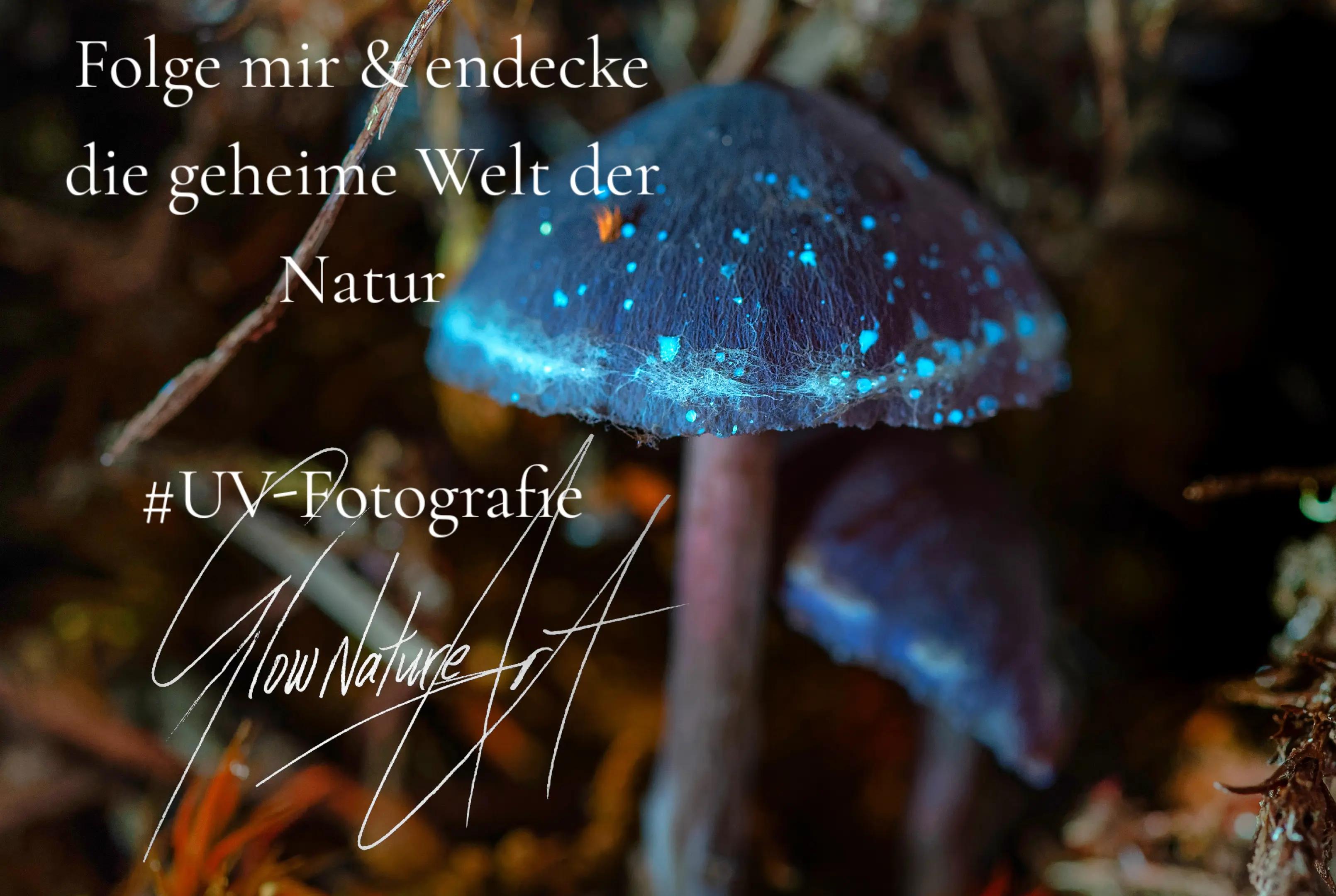 @𝙂𝘭𝒐𝐰𝗡𝐚𝘁𝙪𝐫𝒆𝑨𝗿𝘁 ❀