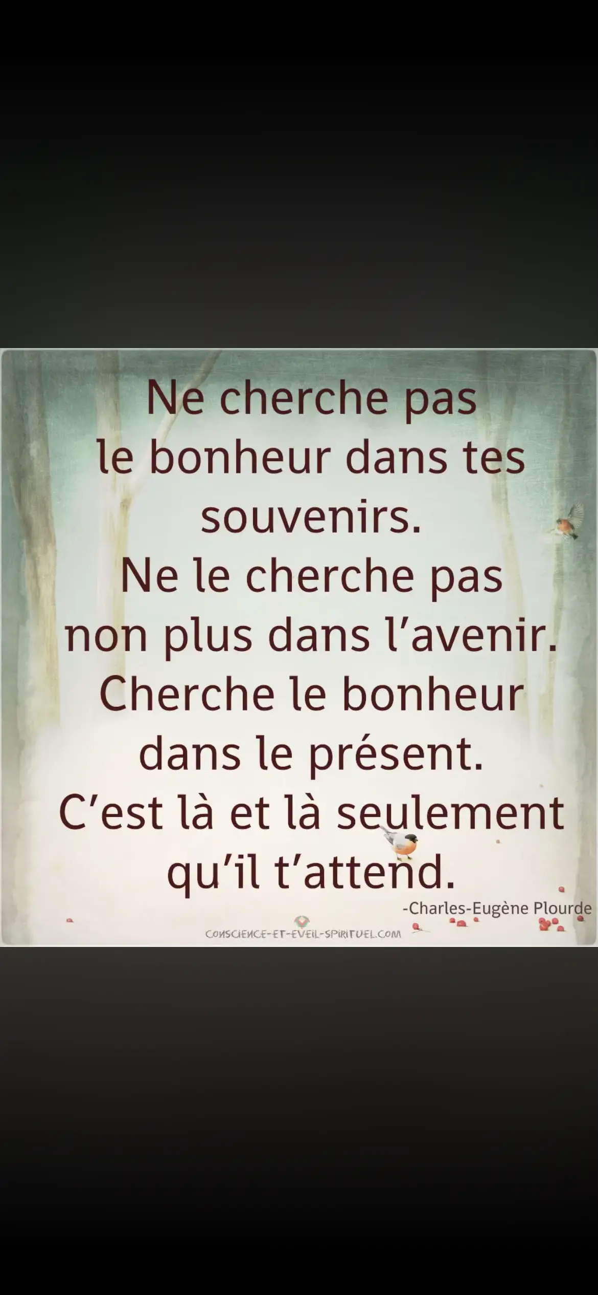 @guylou Tsr
