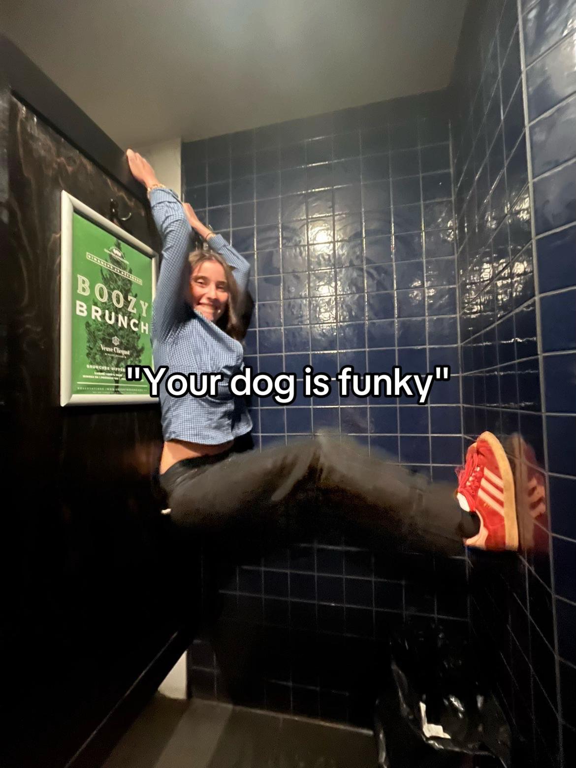 @dalidou.com