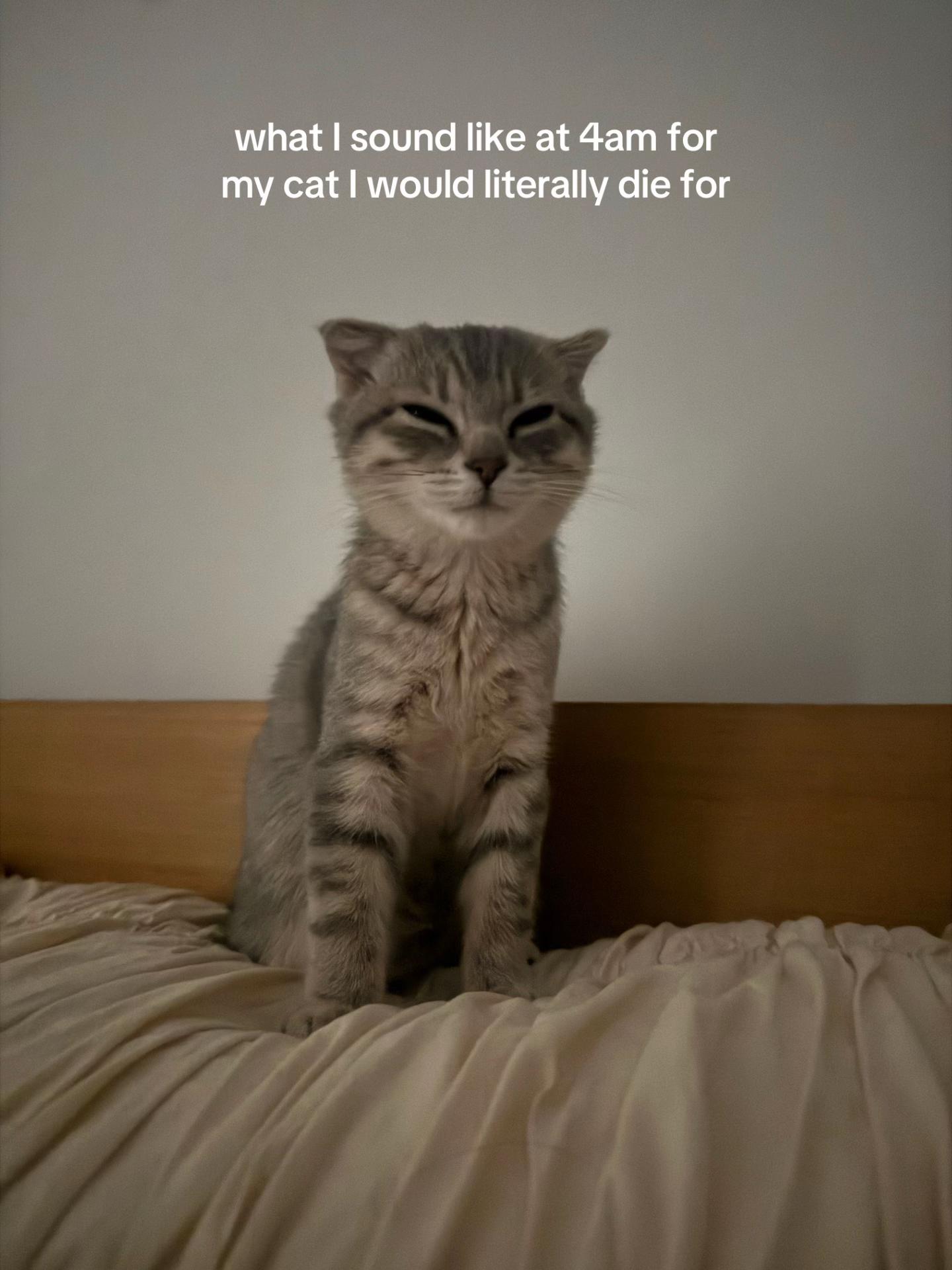 @Suki