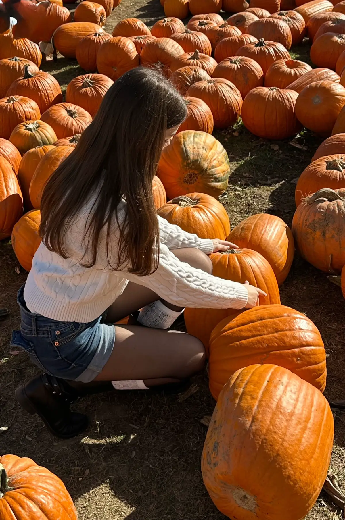 @𝒆𝒍𝒊𝒛𝒂𝒗𝒆𝒕𝒔 ୨ৎ