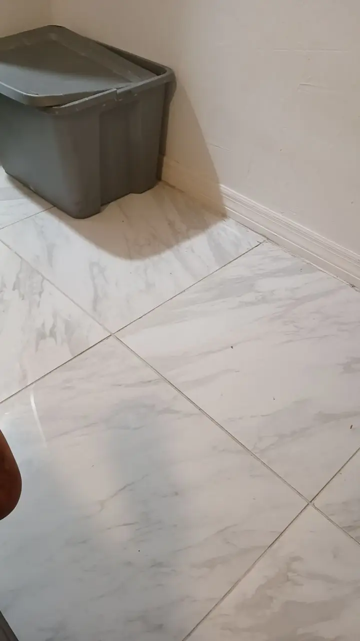 @delismenester3