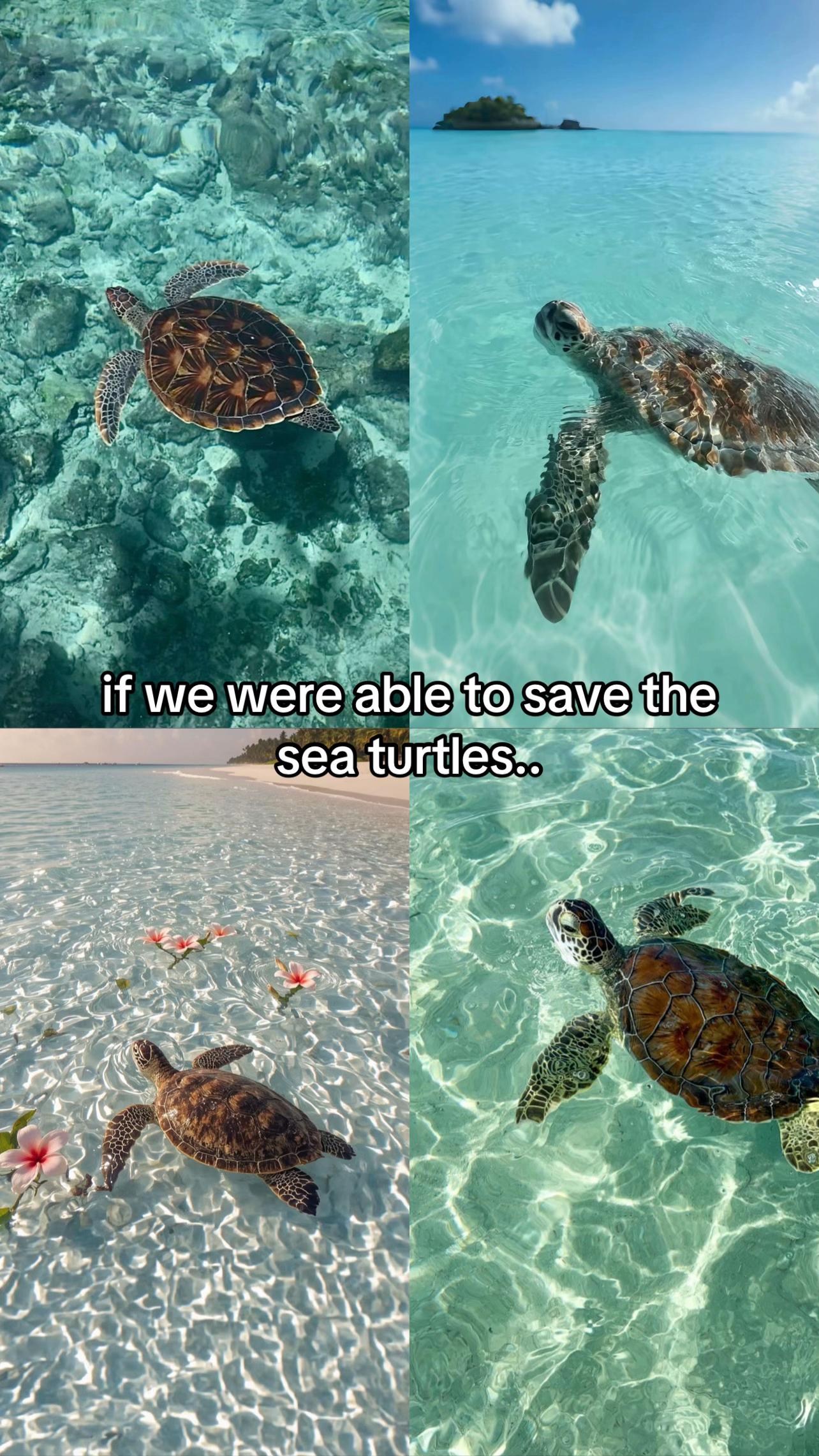 @mozzarella !