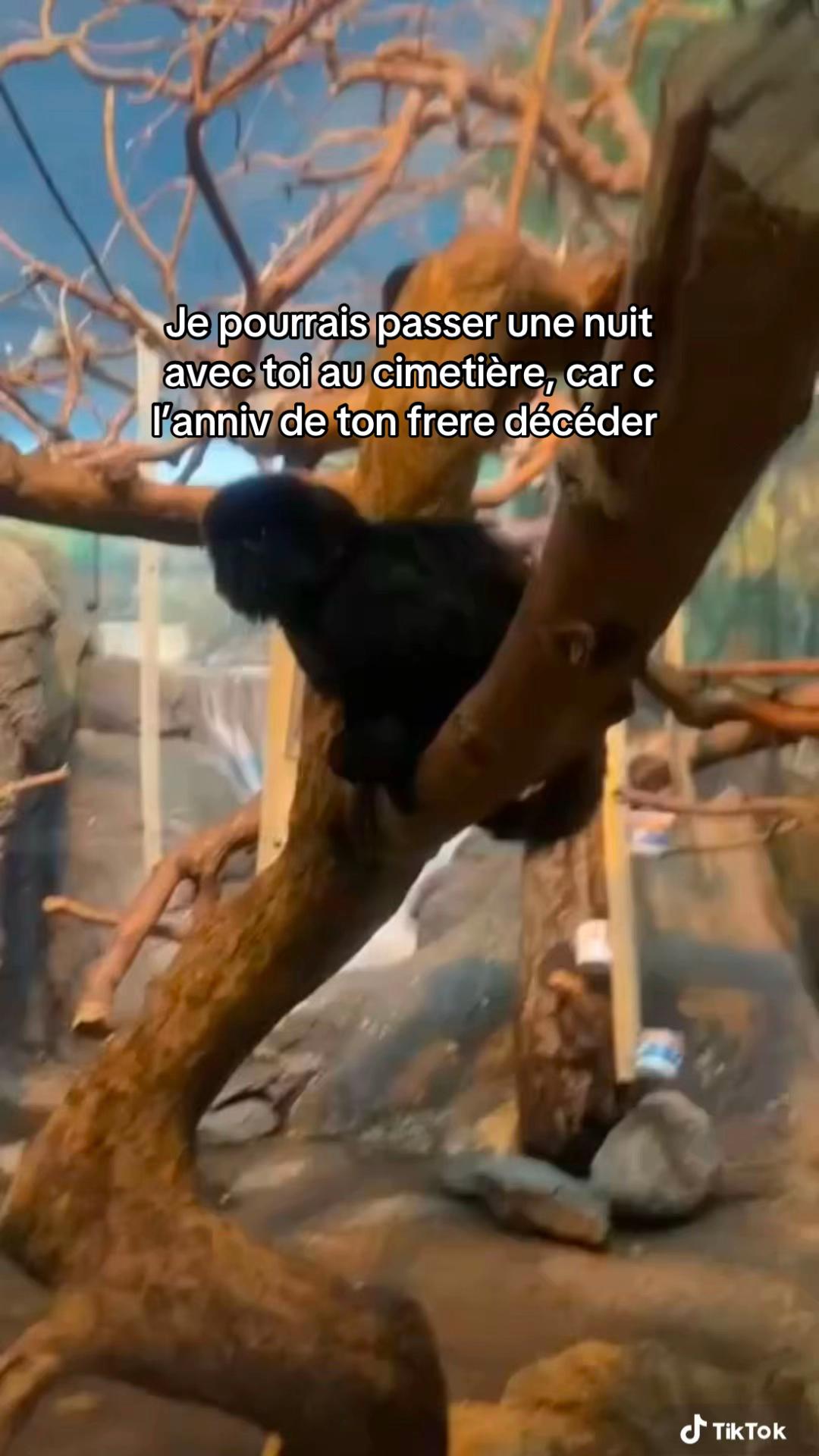 @𝑼𝒔𝒆𝒓.𝑬'🌷