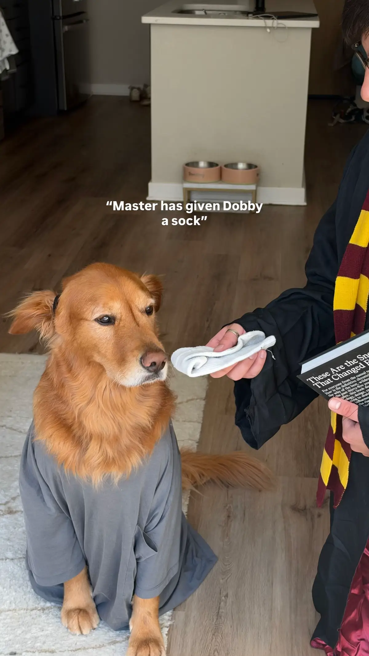 @Bentley the Spicy Golden🌶️