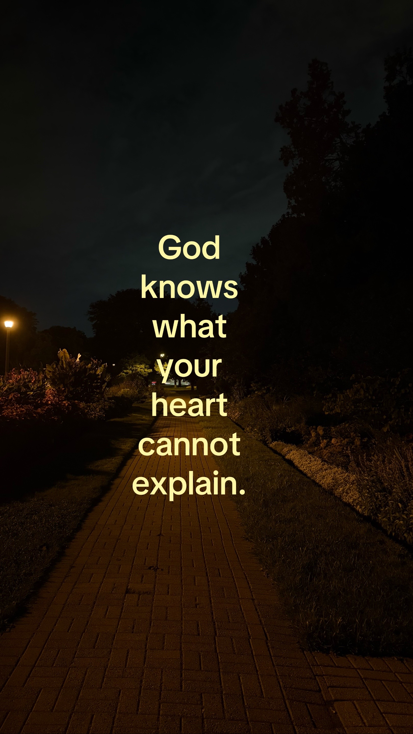 @ℒ ᥫ᭡
