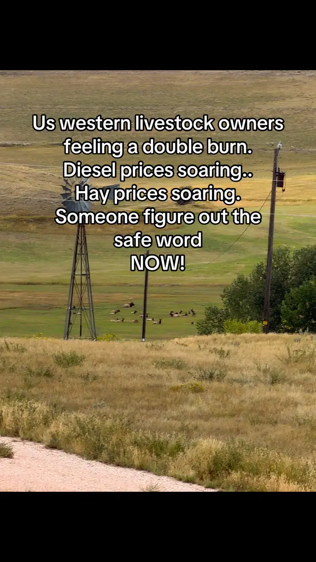 @Hooli