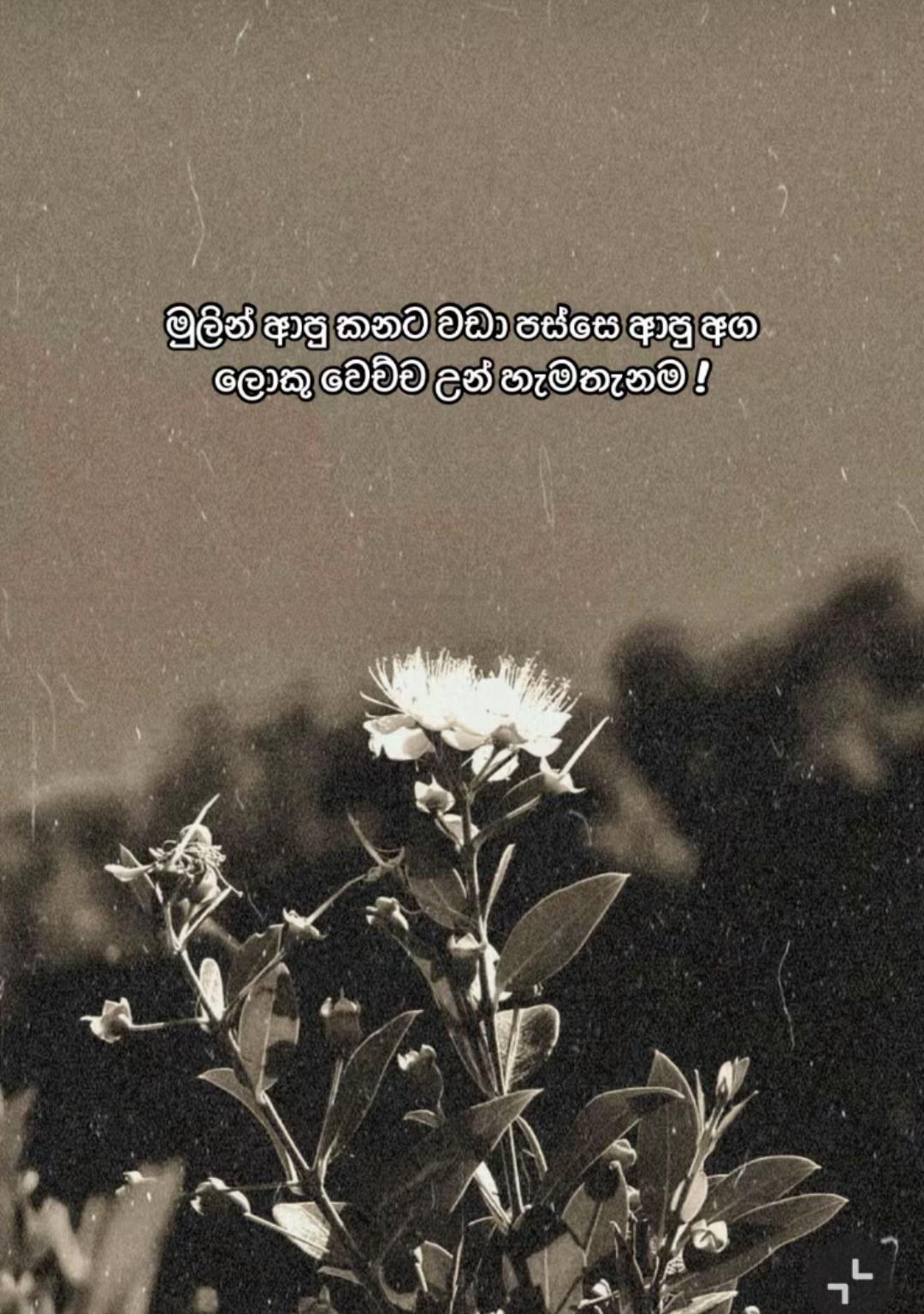 @T H A Z ๐ชฝ