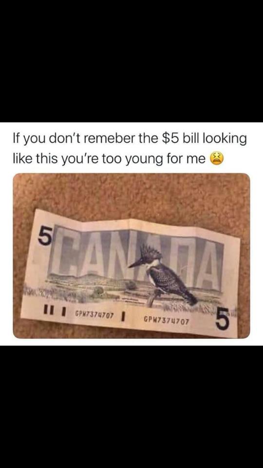 @💵 Moneyrose 💵