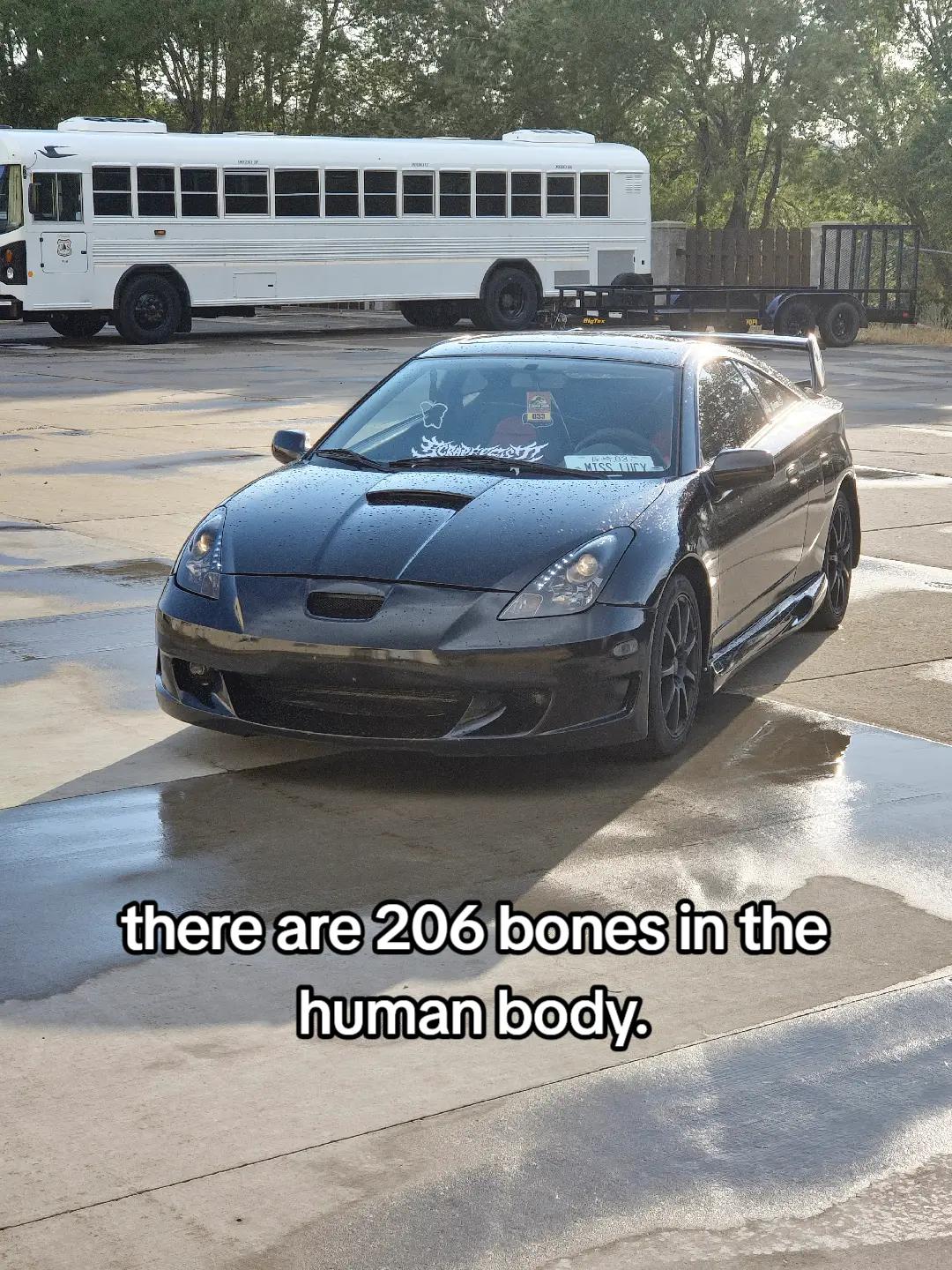@harley 🦖