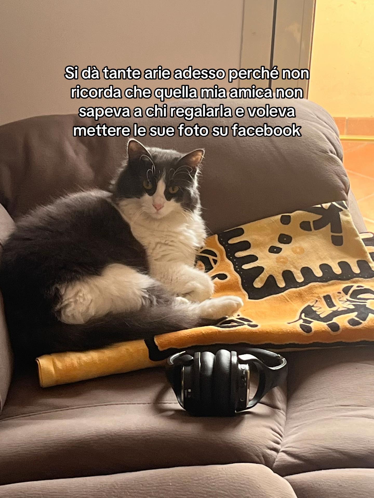 @cescaonair