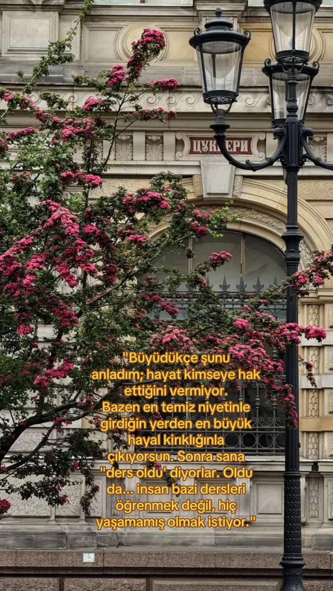 @sedanur🦦