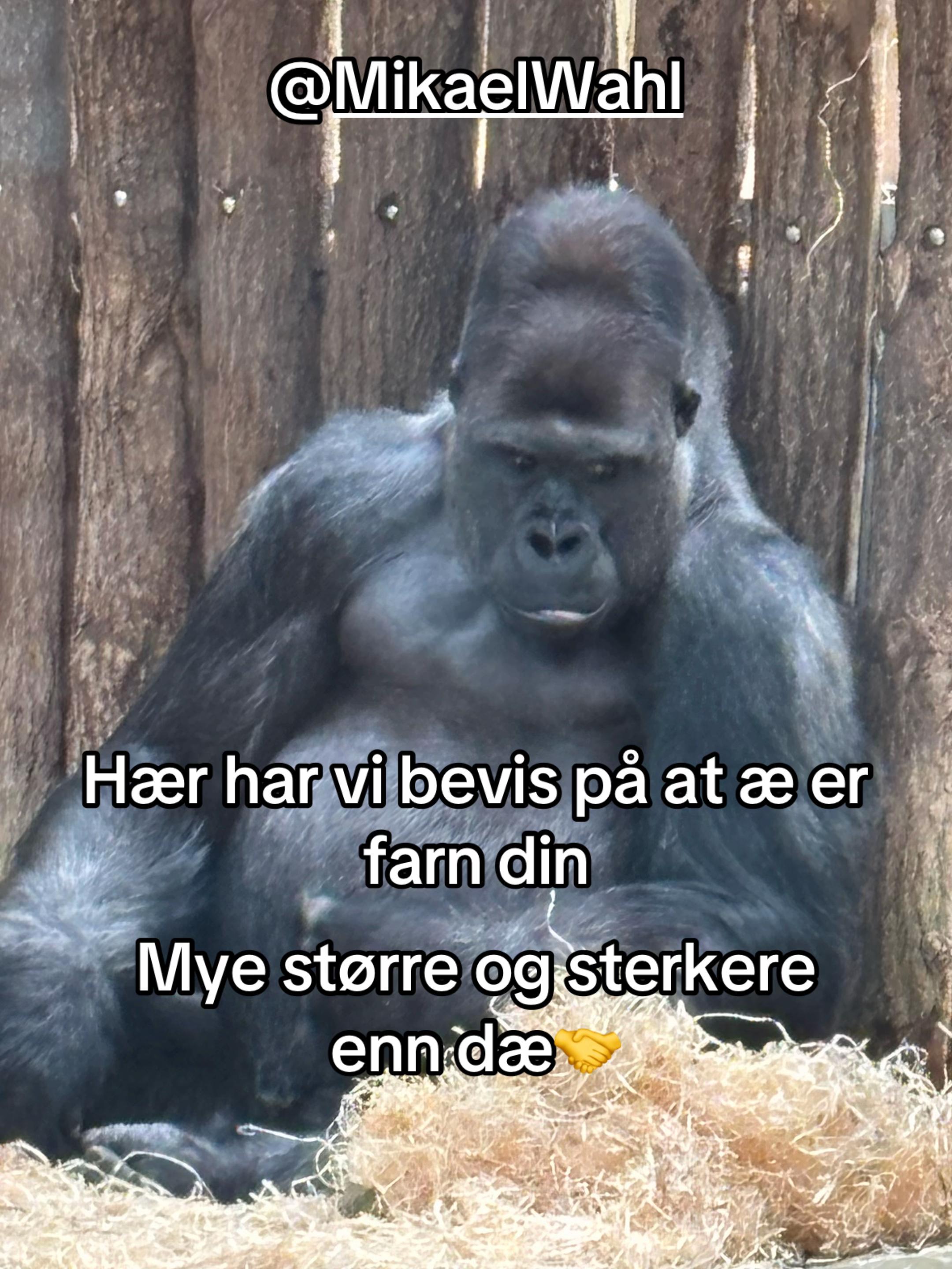 @ELO