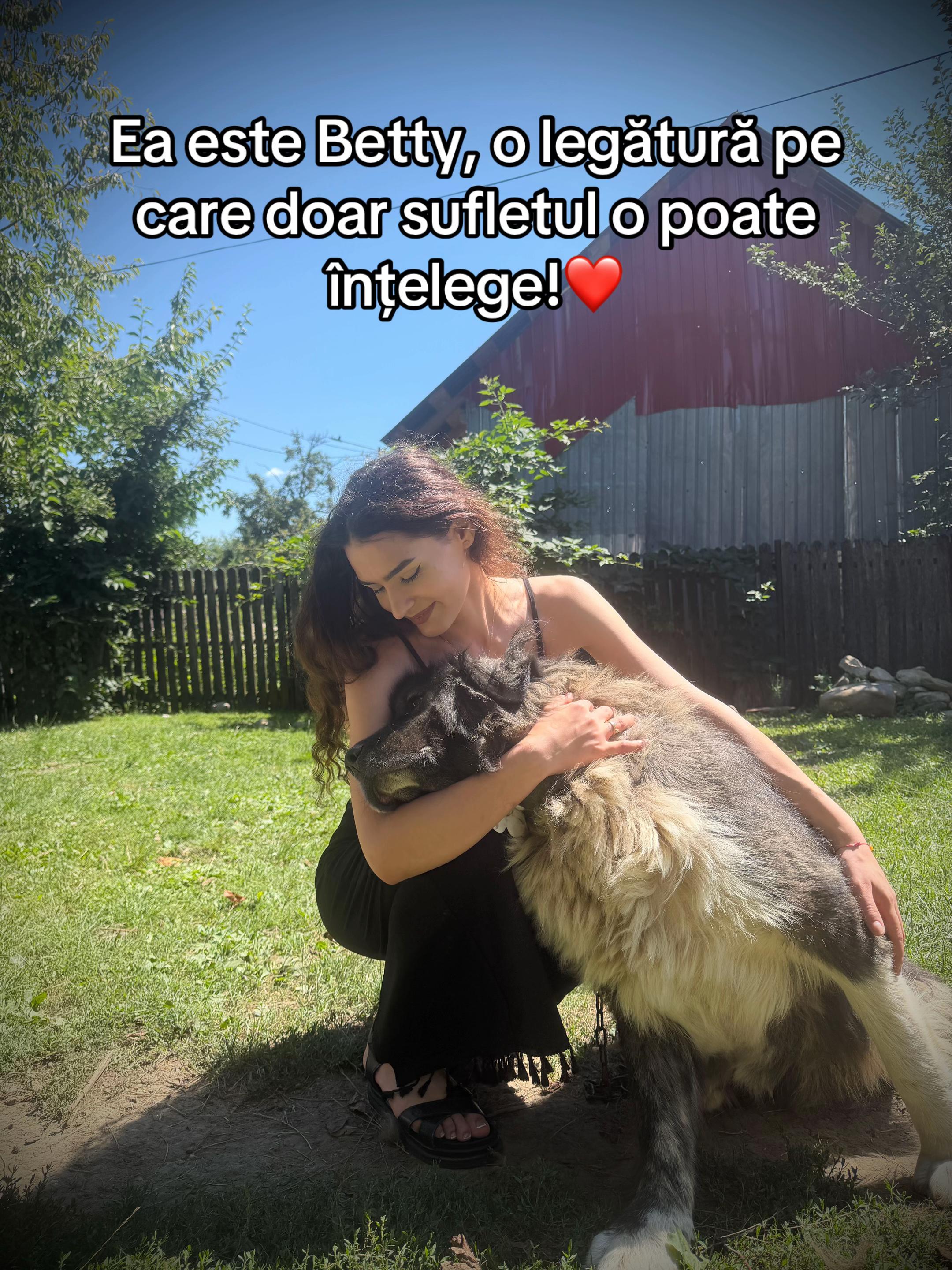 @🤎Creațaaa🤎