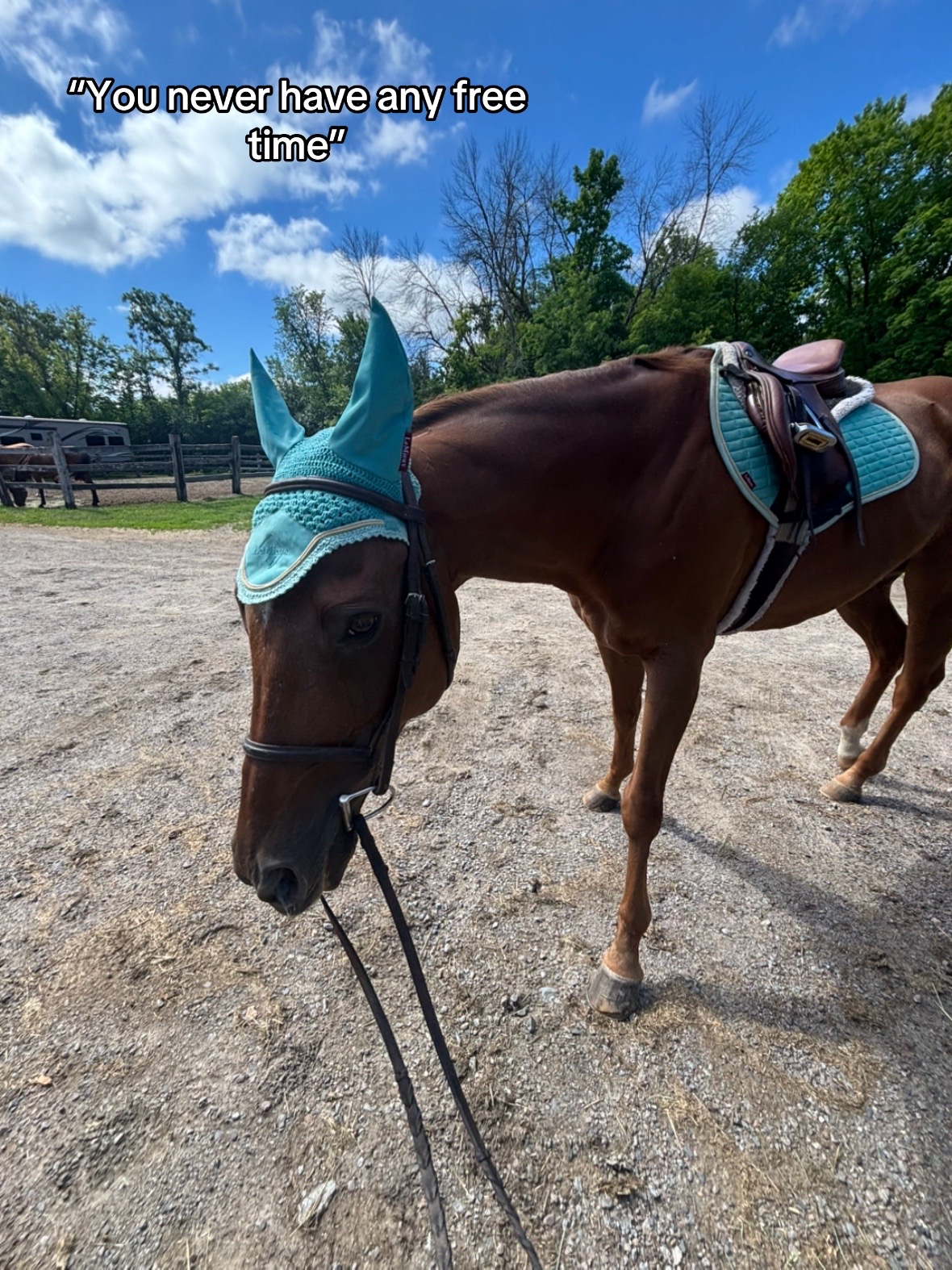 @keria_🌻🏇🏽💕